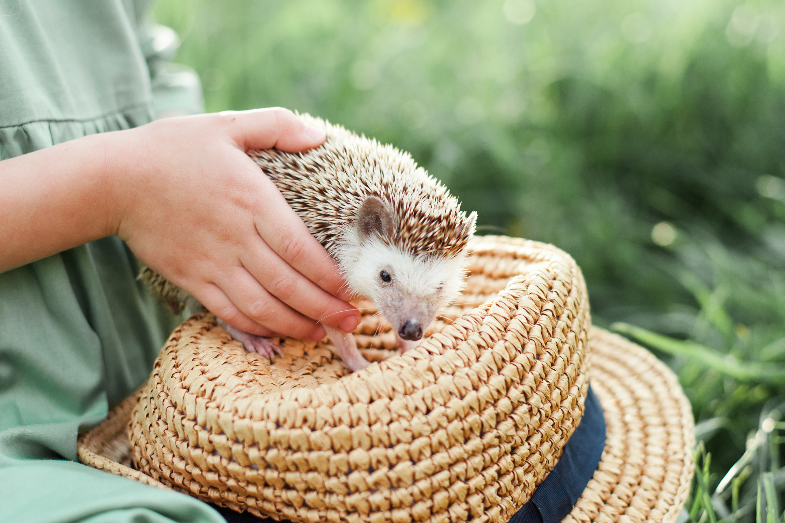 Дружба с ежиком!!!. Фотограф новорожденных в Брянске Анжелика Прохоренкова