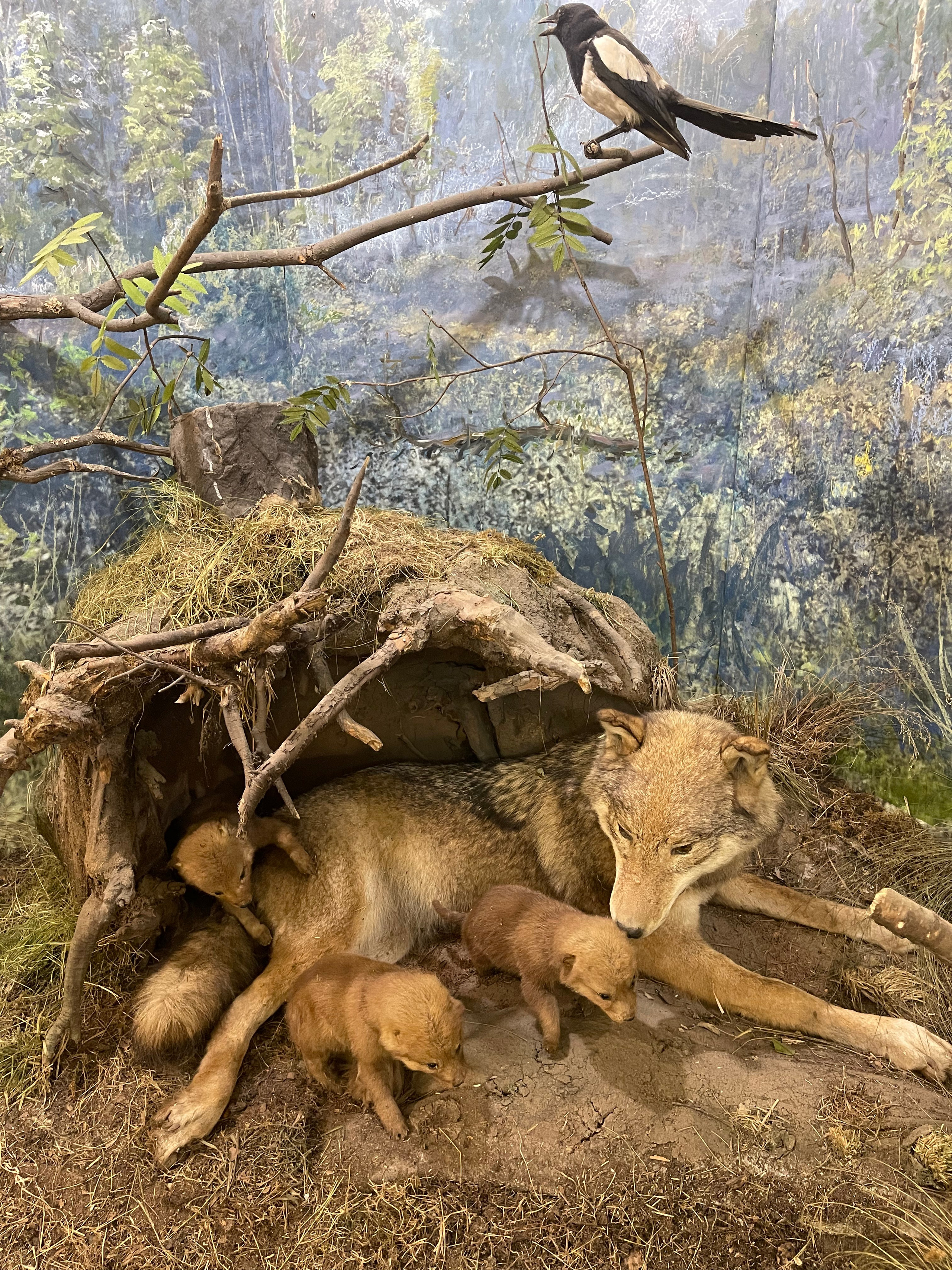 Из Петербурга в Москву. Главная