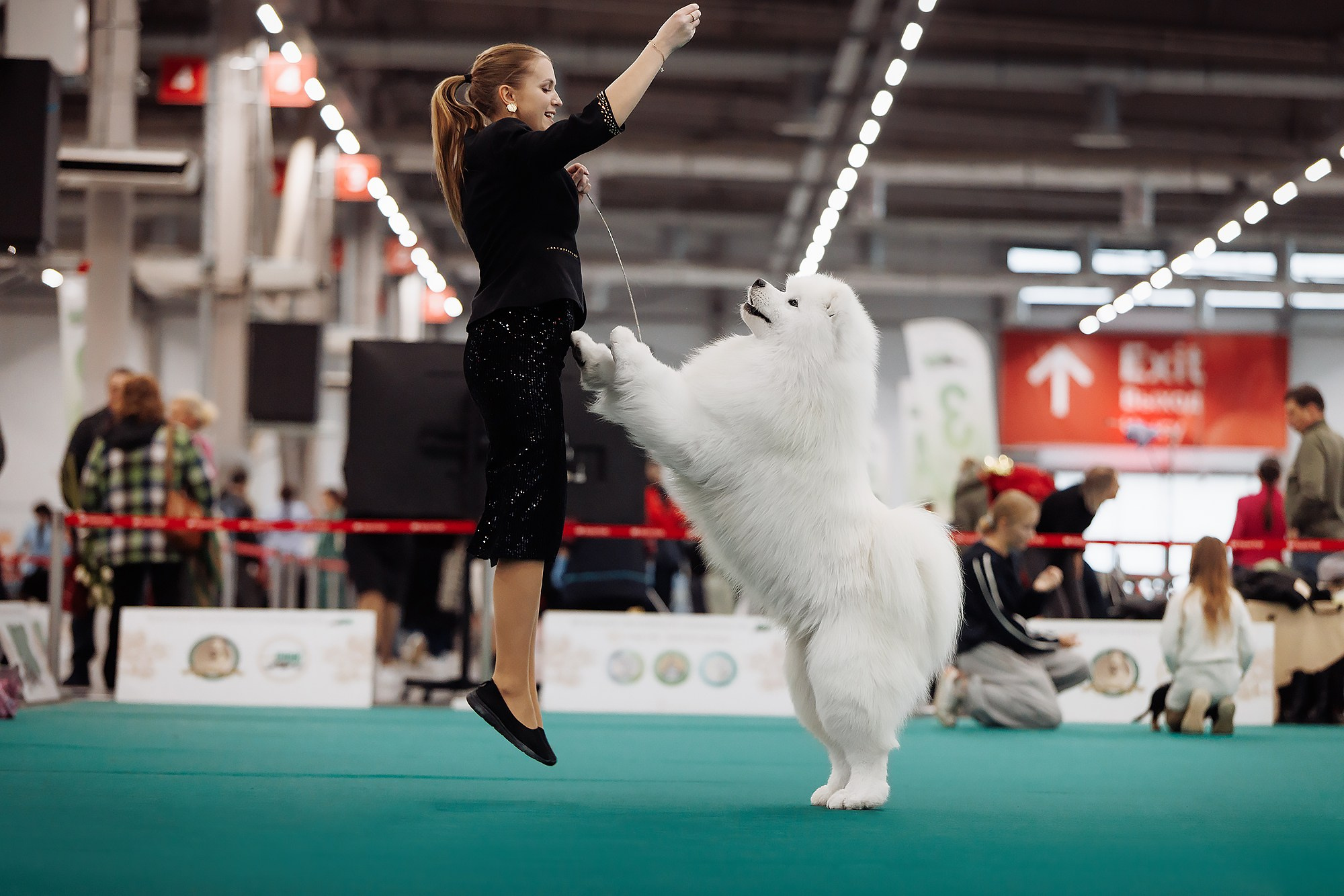 29-30.11.2025 — Казань «Зилант». Фотограф-анималист Саша Вязьмина