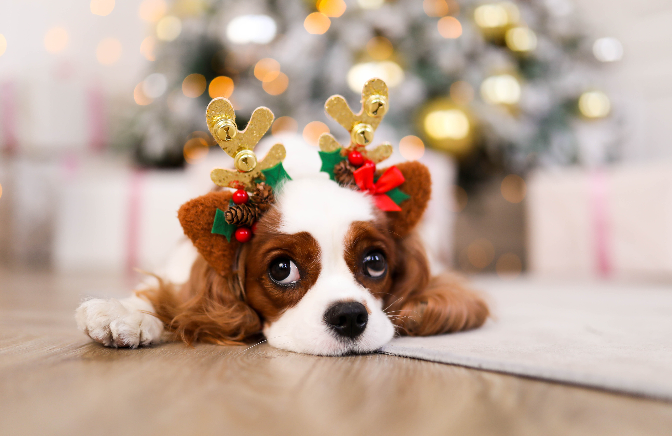 Наша Семья 2021. ФОТОГРАФ ХАБАРОВСК АНАСТАСИЯ РАЧЕНКОВА