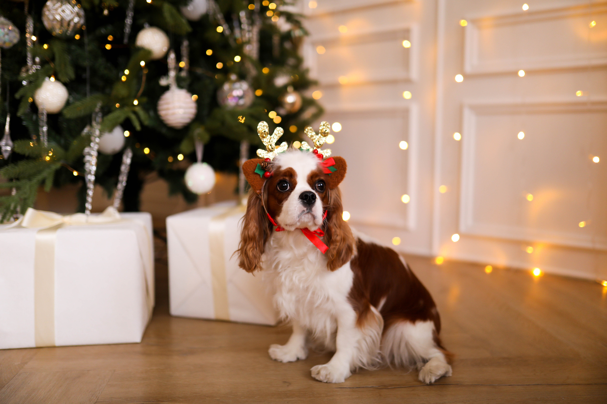 Наша Семья 2021. ФОТОГРАФ ХАБАРОВСК АНАСТАСИЯ РАЧЕНКОВА