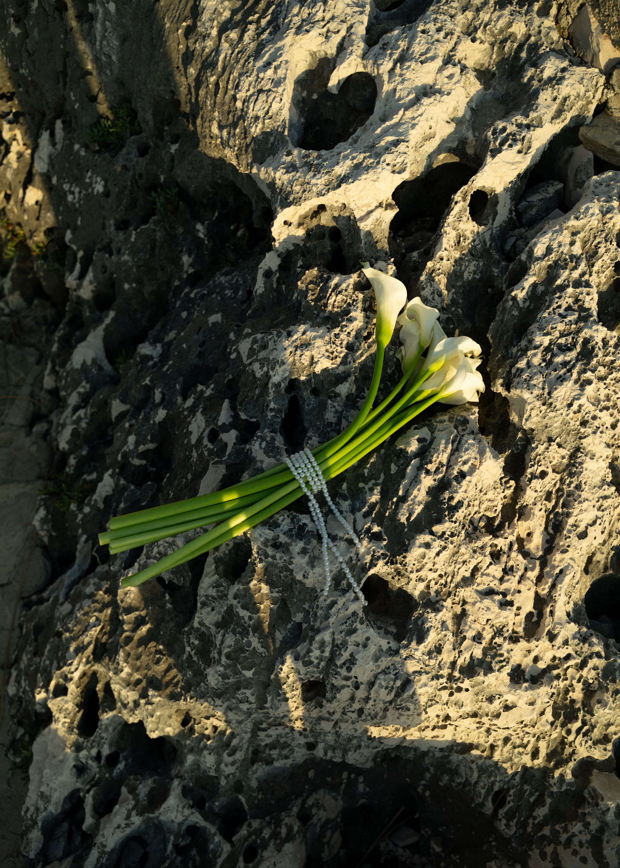 Юра и Лера. Свадебный фотограф Нижний Новгород, Москва
