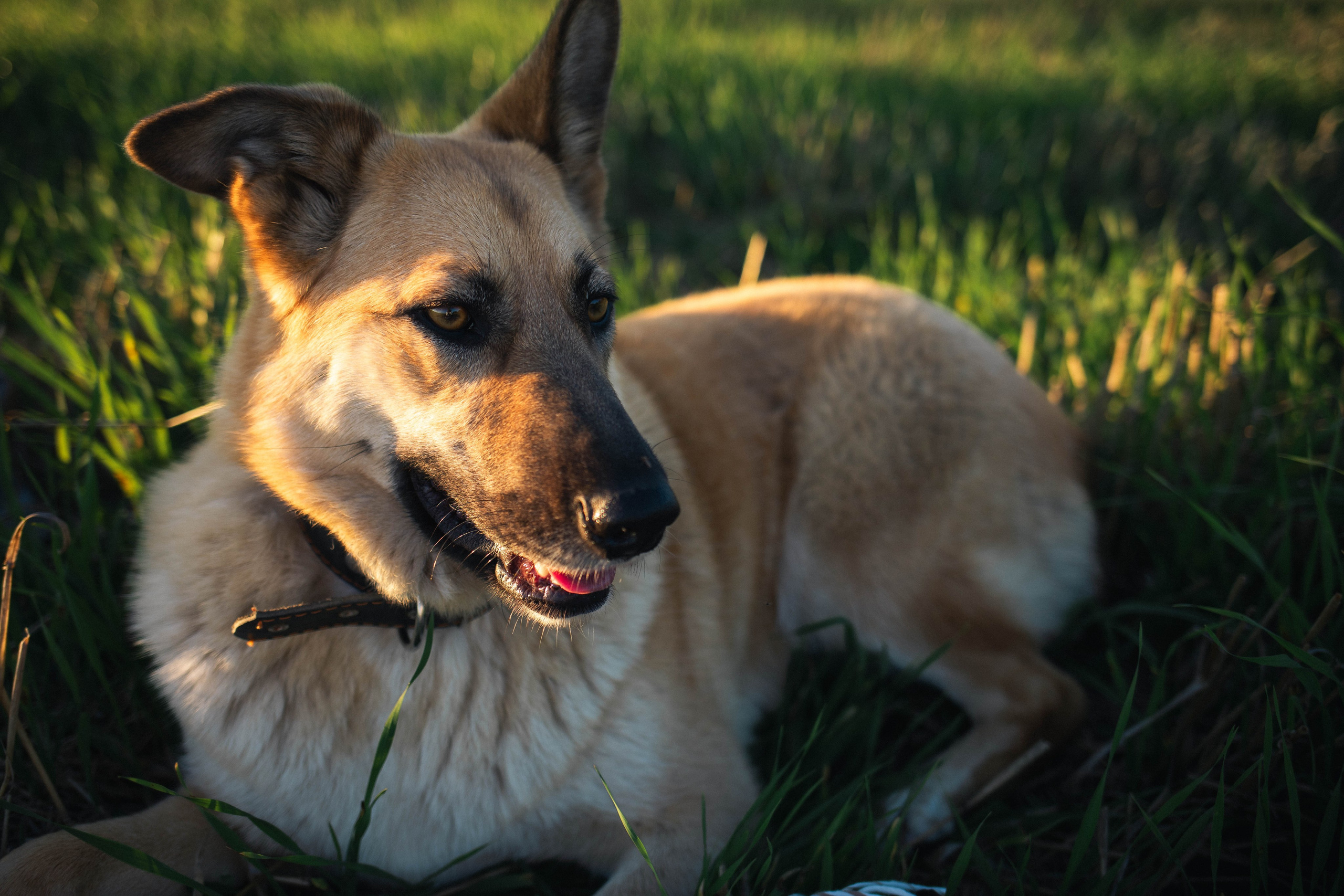 Альбом2. Фотограф Мария Сургаева | Профессиональная фотосъемка в Москве