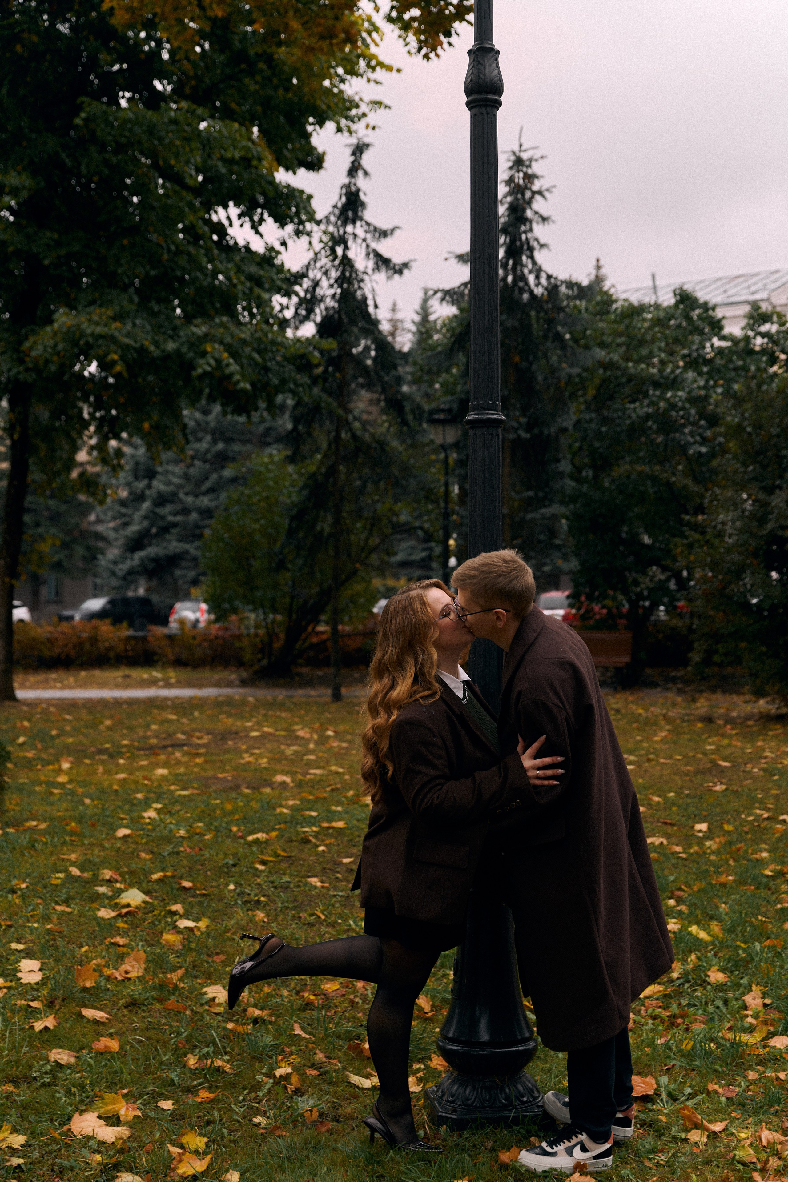 Подсолнухи