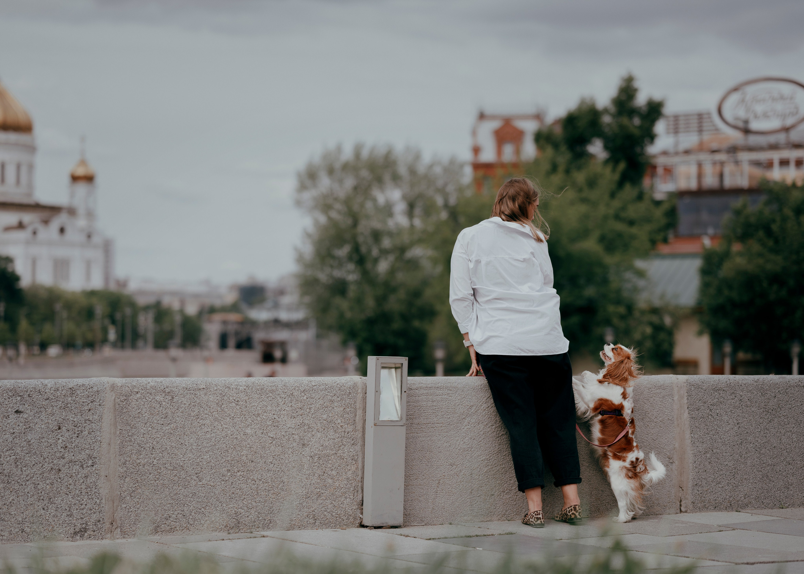 Дольче. Фотограф- анималист Александра Матвеева