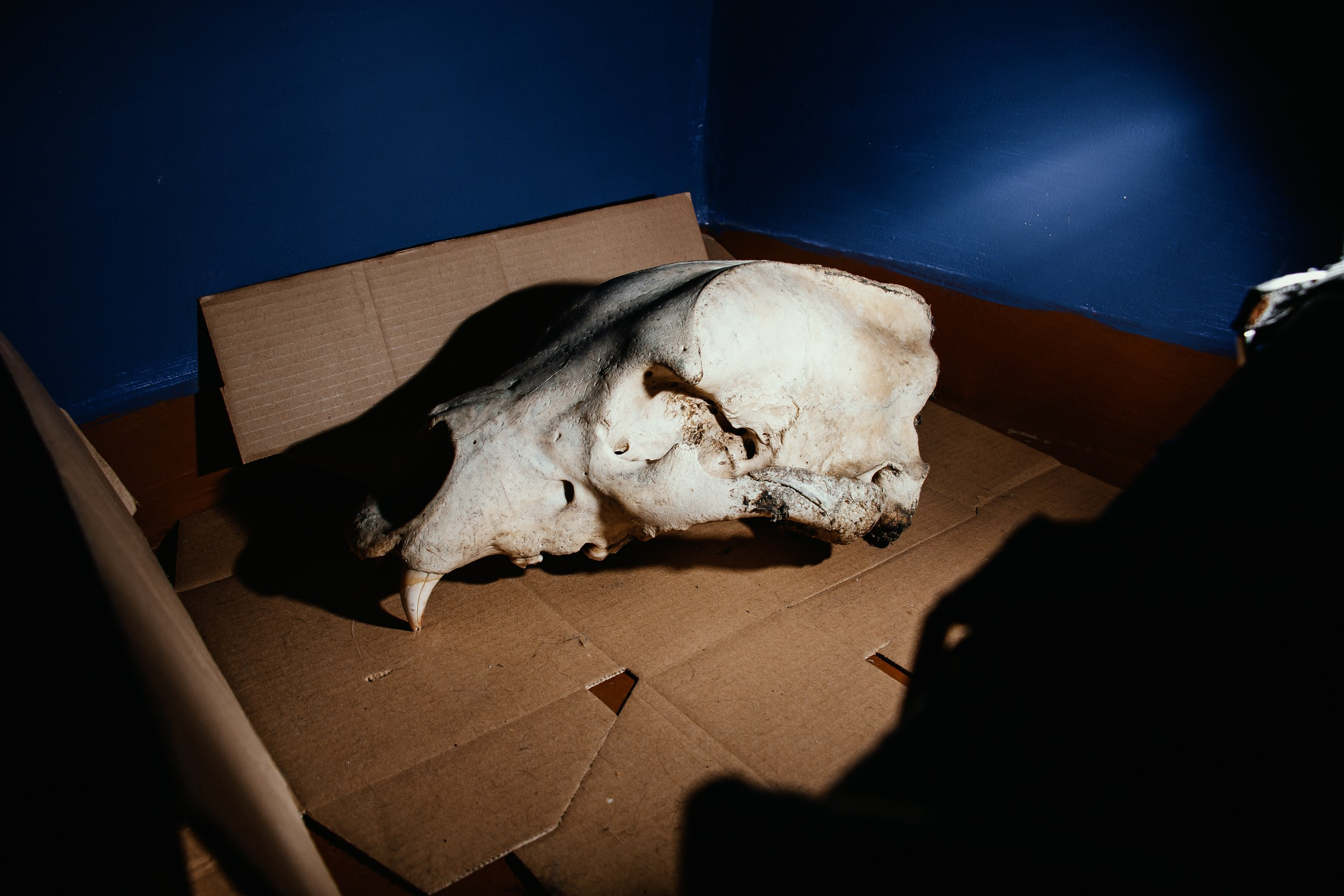 Магическая Мафия — портфолио репортаж. Фотограф в Новокузнецке Иван Дендин