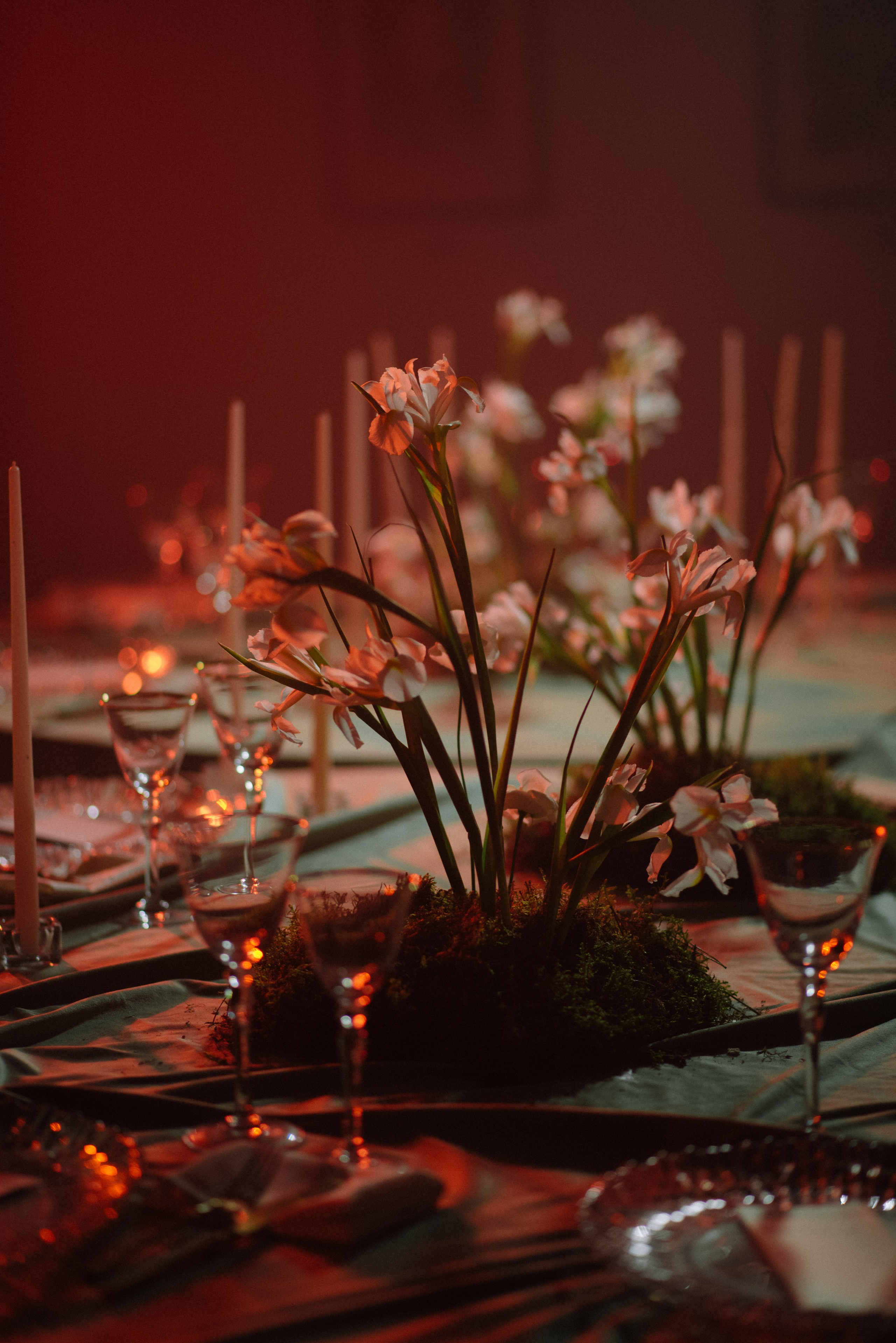 Люби меня люби!. Свадебный фотограф в Минске Тагай Наталья