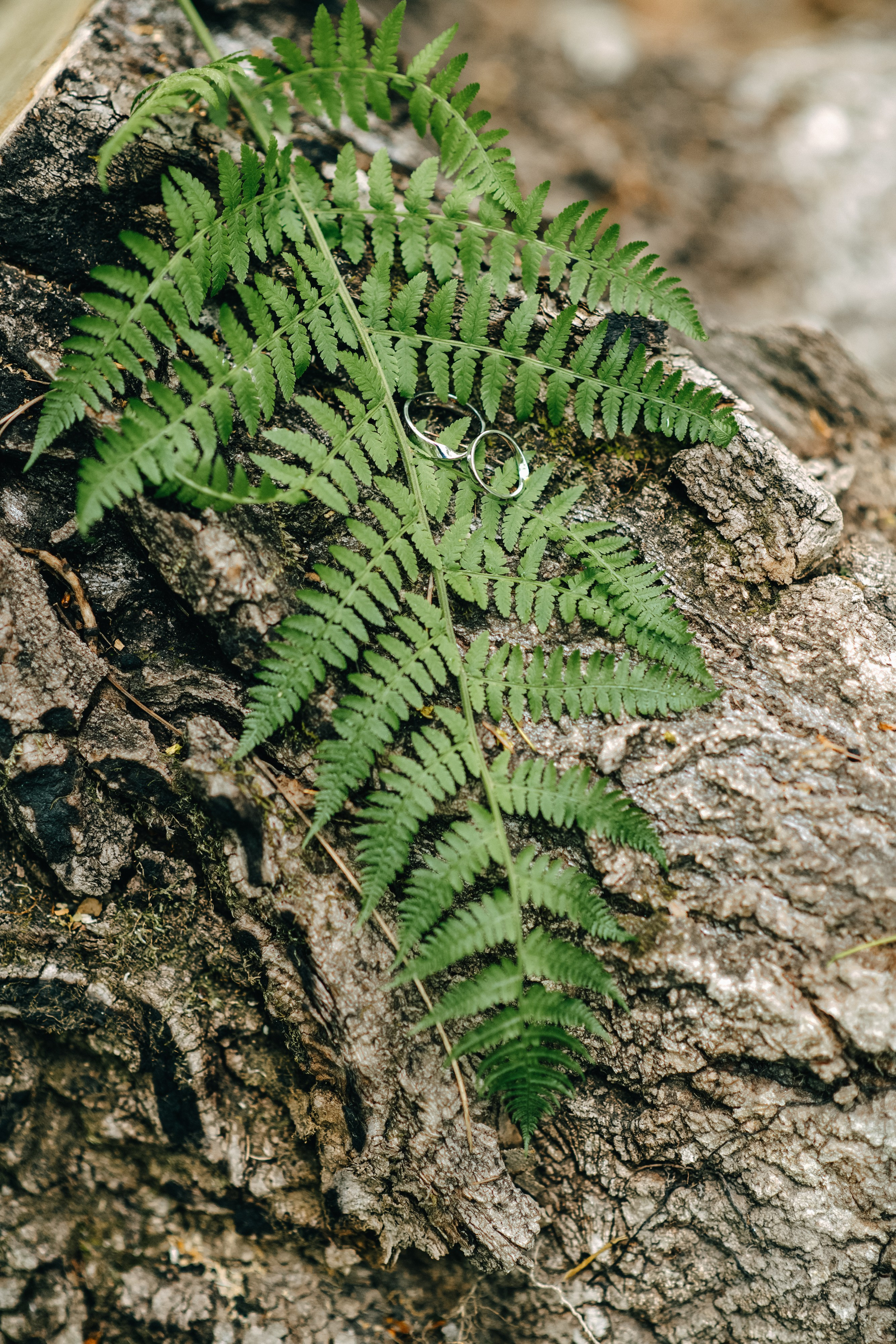 ГАЛЯ И РОМА. Шашкова Вероника / Свадебный и семейный фотограф Москва и Ярославль