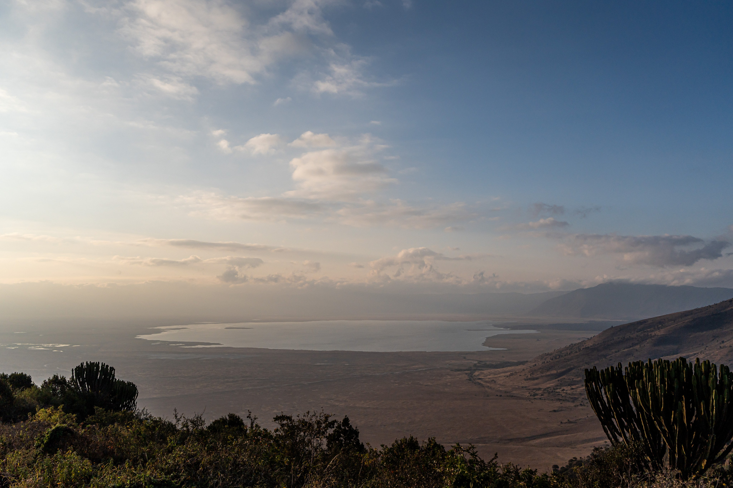 Танзания, сафари, 2025. Творческие сьемки