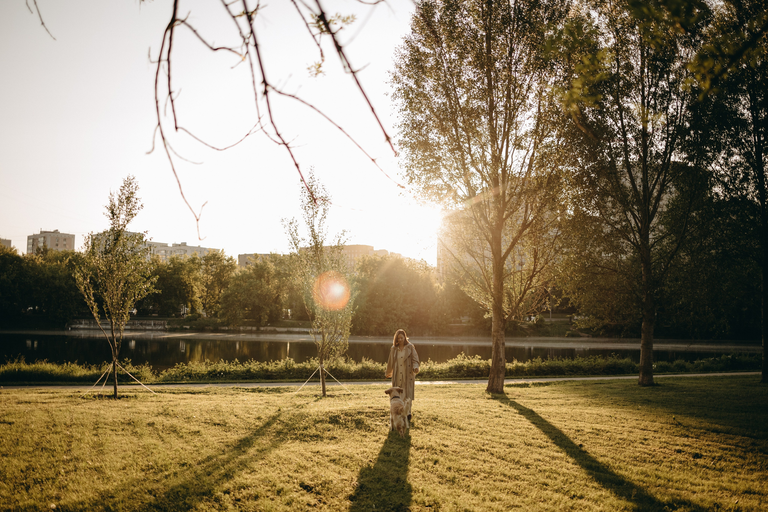 Пенни и ребята. Фотограф — Анималист | Санкт-Петербург