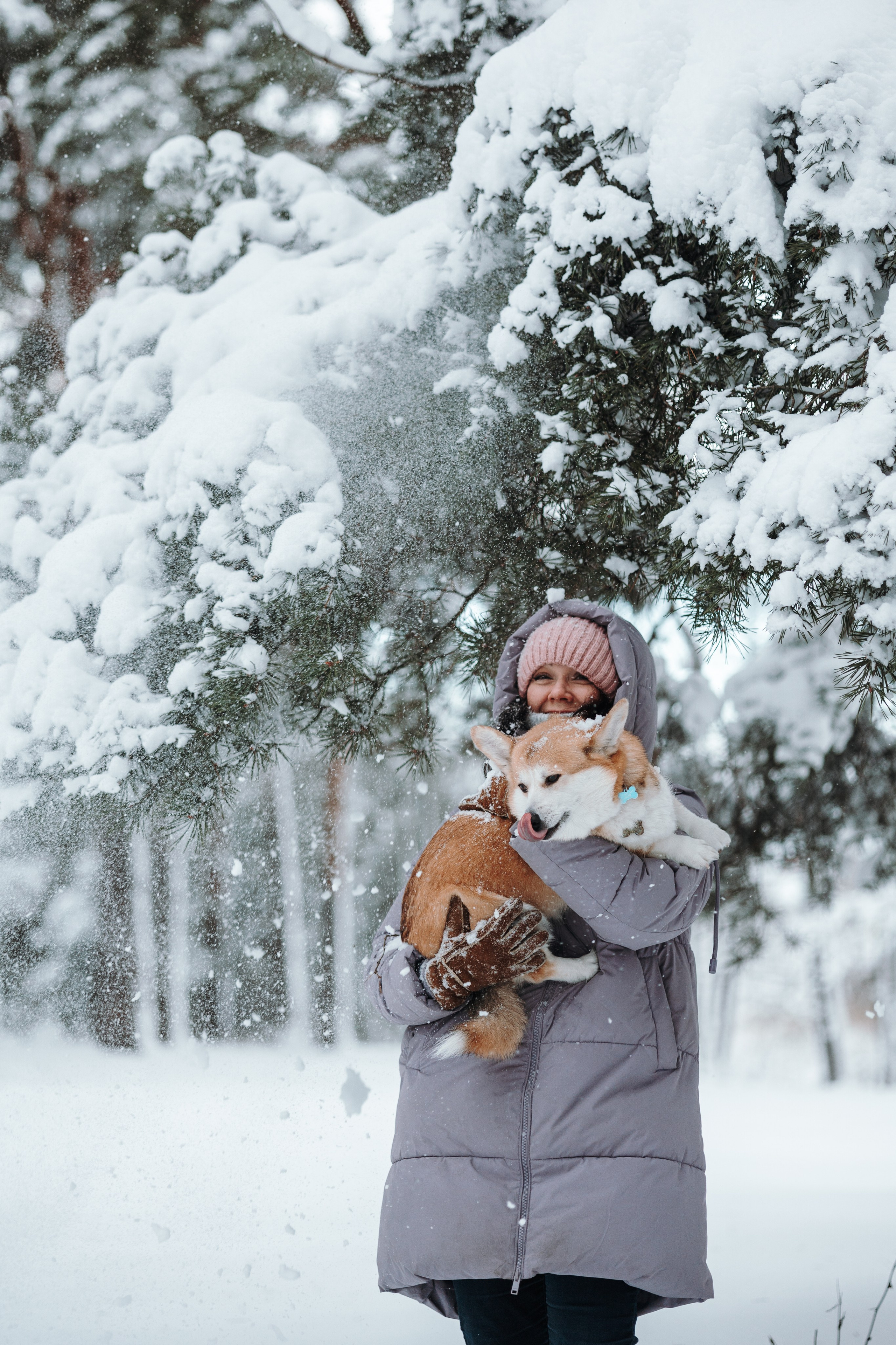 Оливка и ее семья. Фотограф — Анималист | Санкт-Петербург