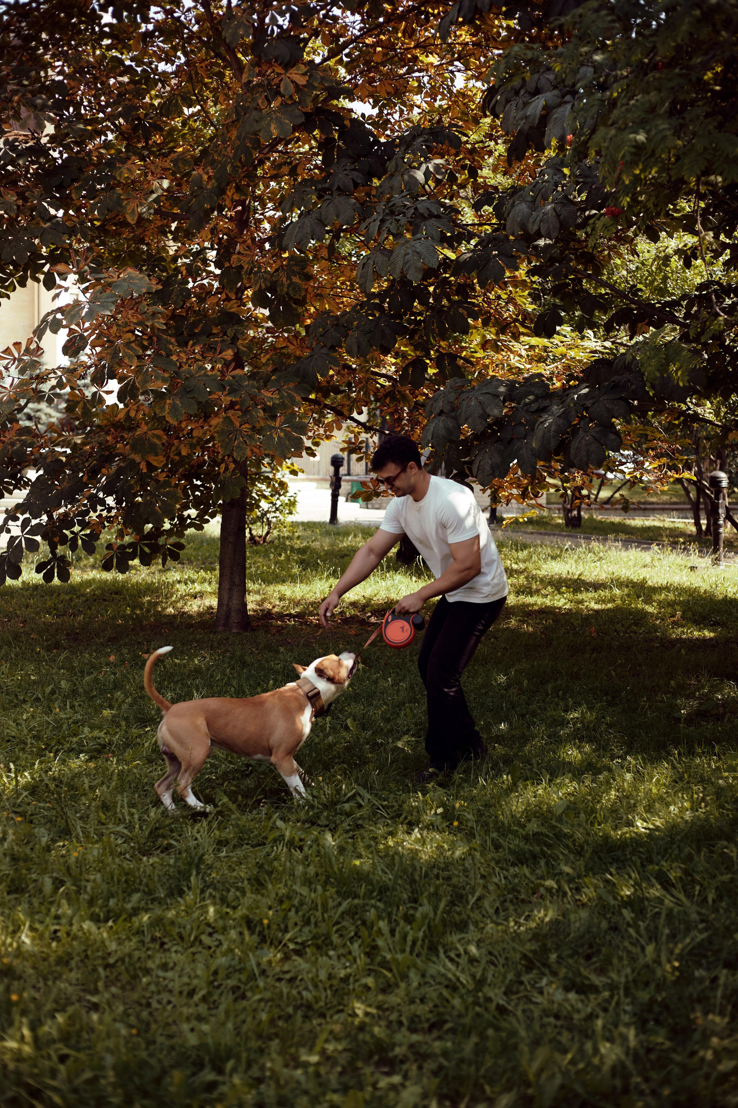 Абдо (прогулка с собакой). Фотограф из Казани