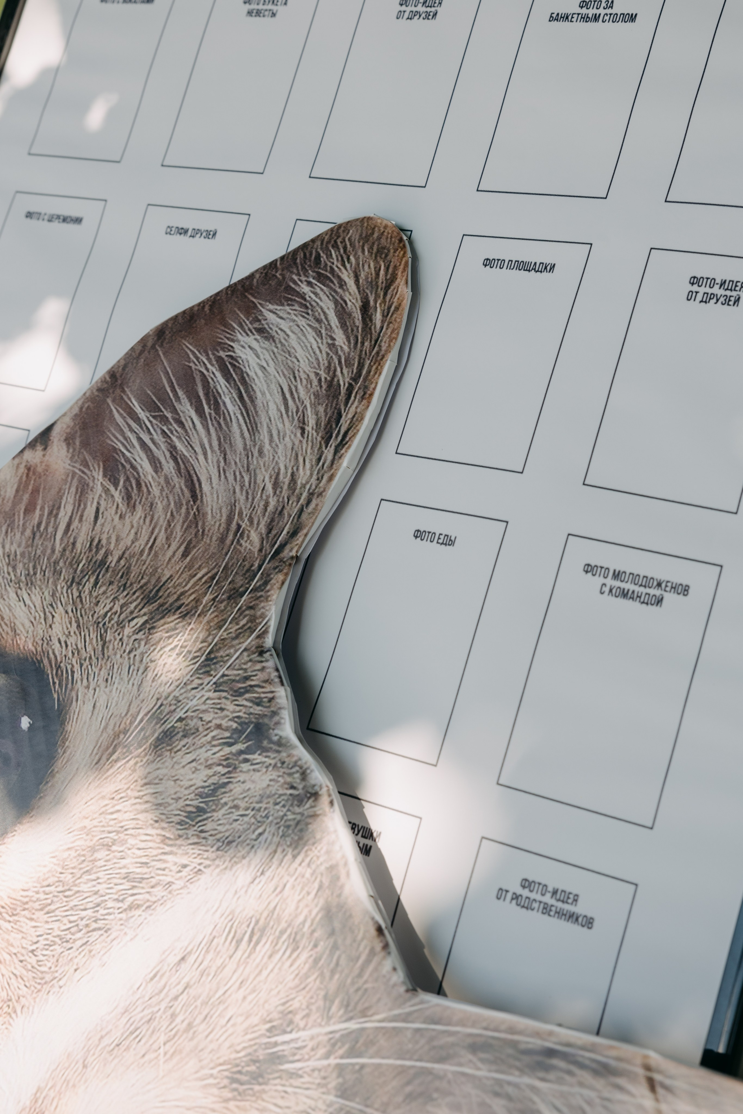 Анна и Никита | банкет. Свадебный фотограф Москва Анастасия Храмова