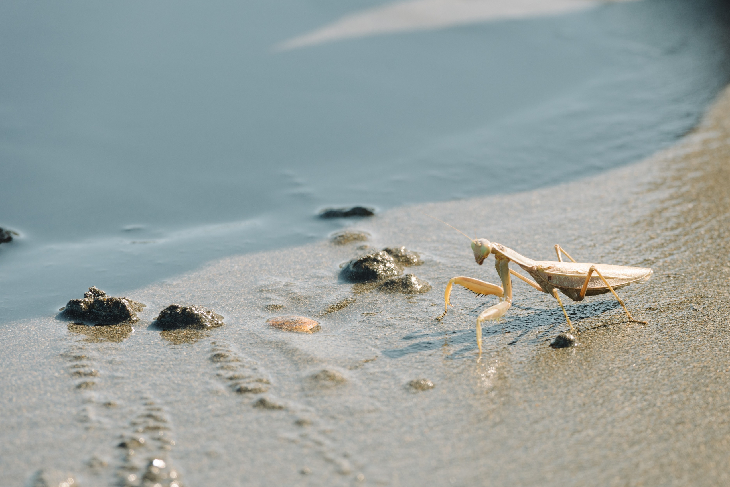 Самур биологи. Фотограф Алиса Калинина