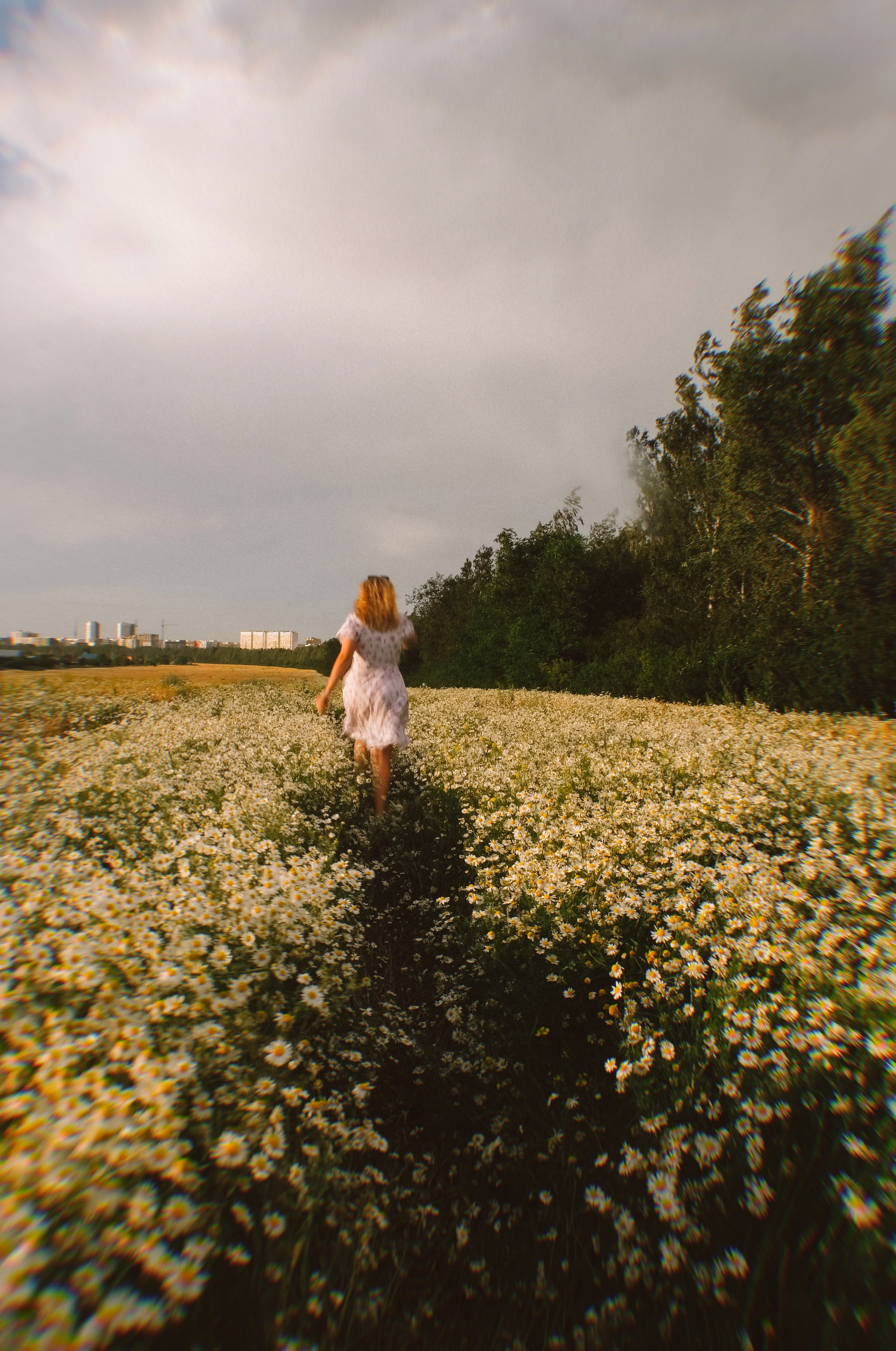 Саша в ромашках. Привет! Меня зовут Дарья и я фотограф/видеограф из Ульяновска