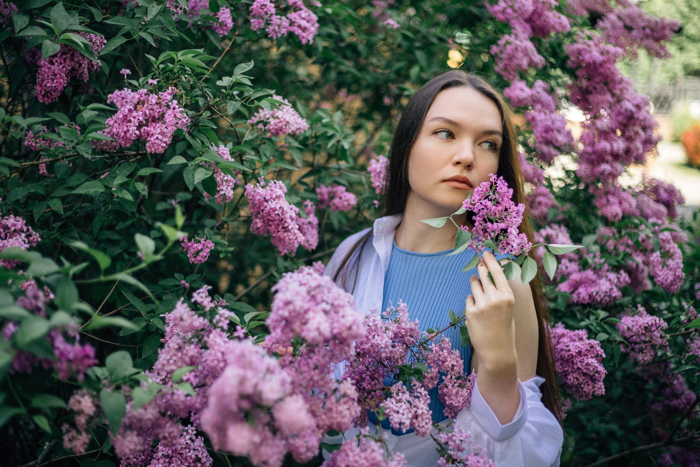 Смазы сирени. Екатерина. Июнь 2025. Фотограф Пермь. Свадьбы. Семья и дети, школа, д. сад. Фотокниги