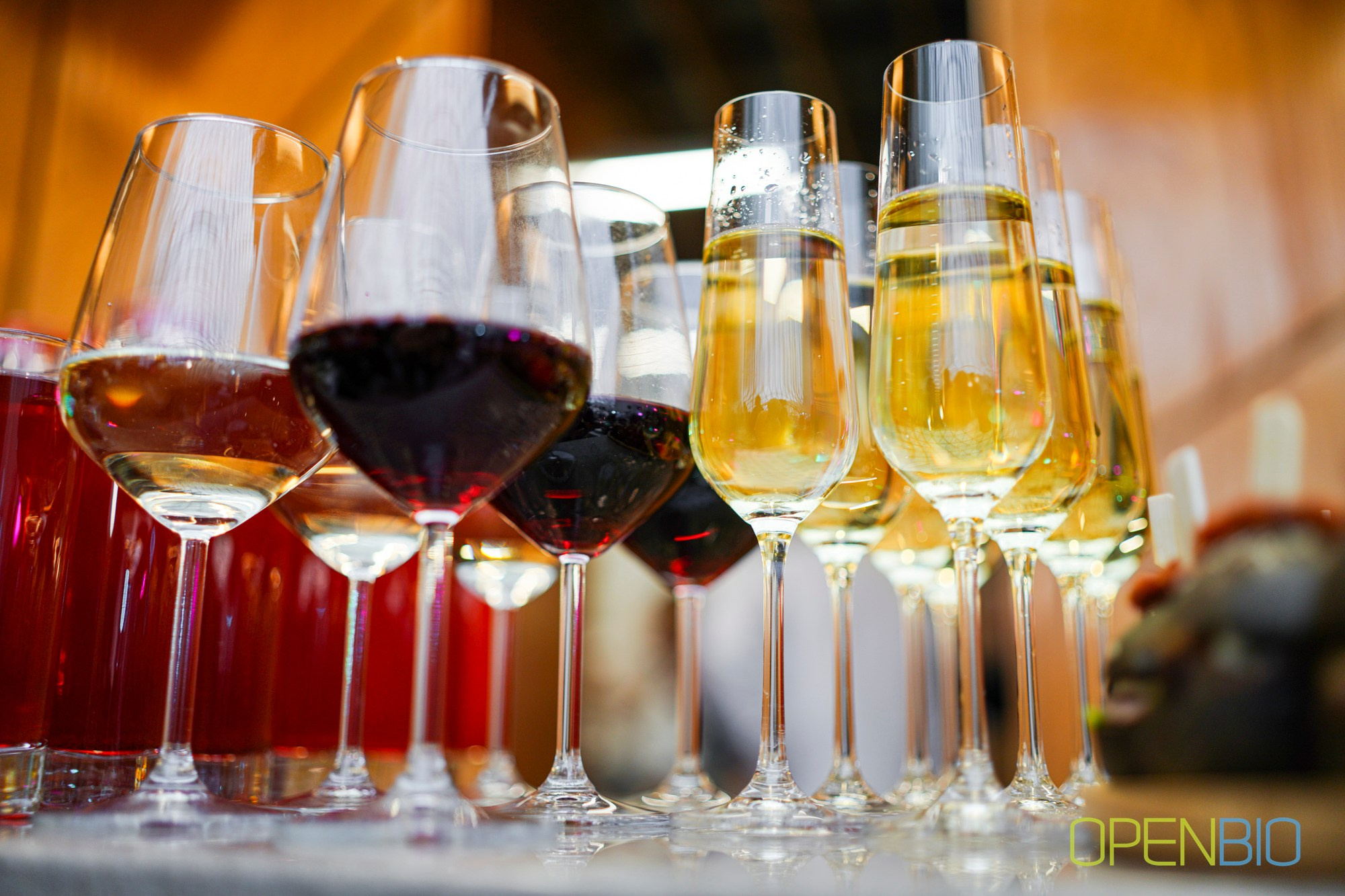 OpenBio | Форум 2024. #фотокаквкино | Фотографирую людей