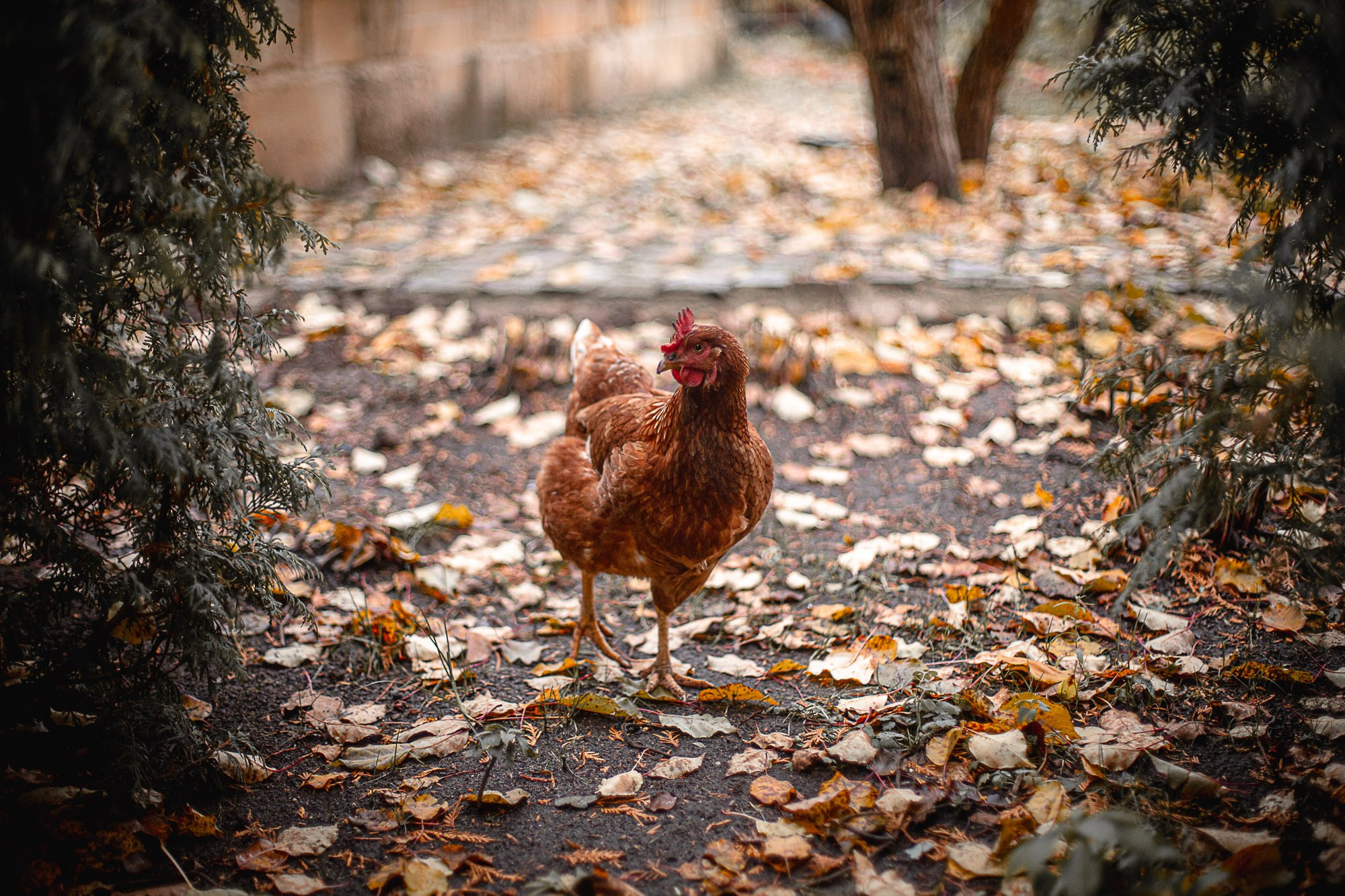 Евгения. SaGaFOTO.ru