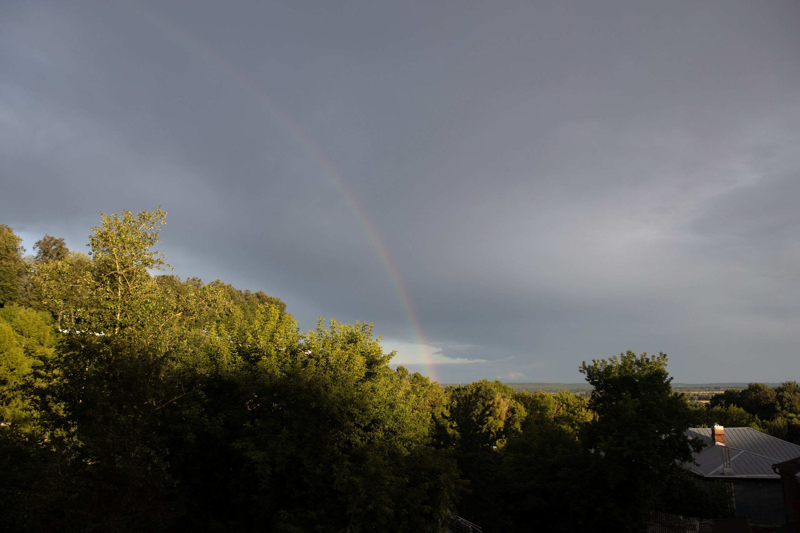 Екатерина и Никита. Свадебный и семейный фотограф Ольга Сморжанюк