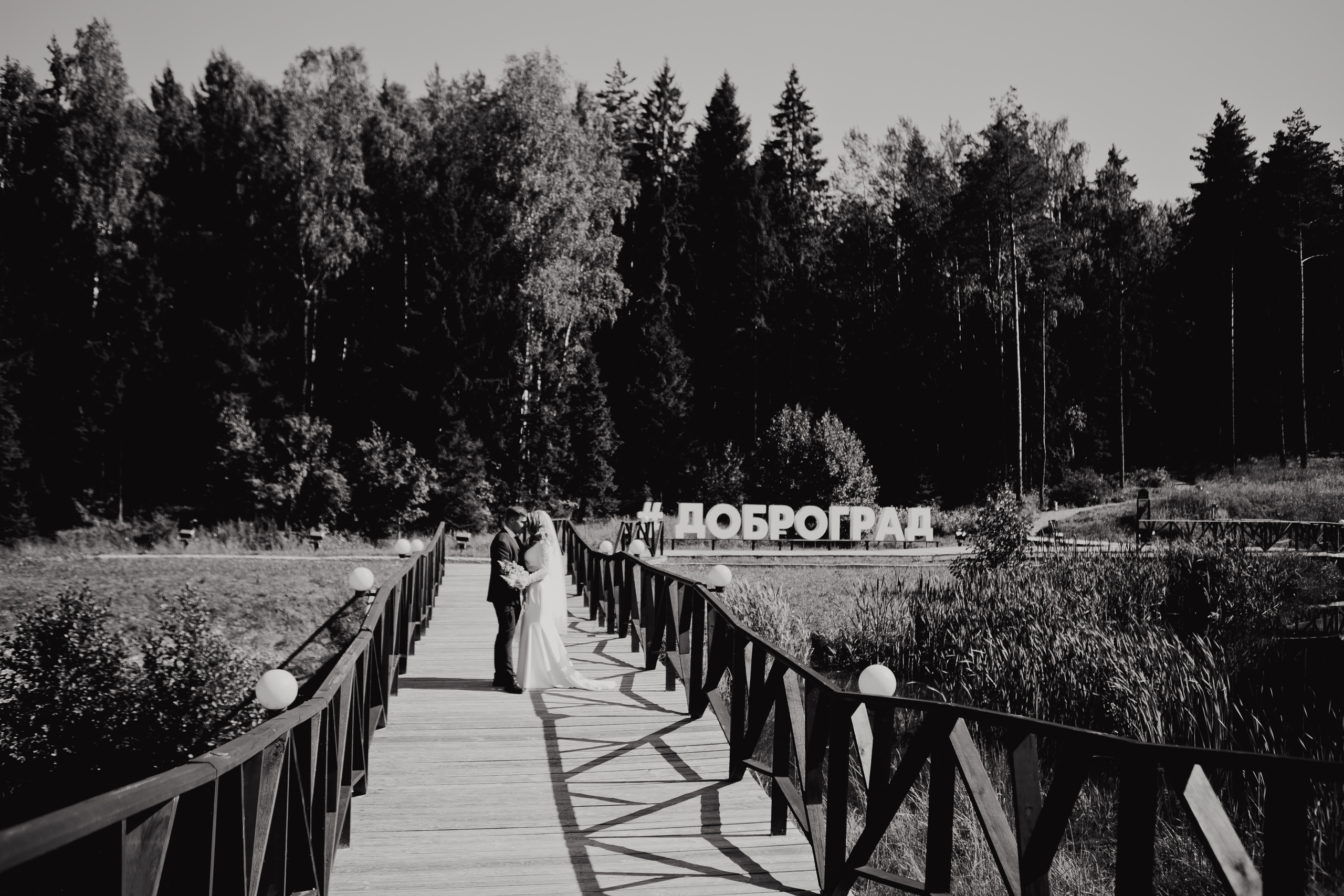 Анастасия и Кирилл. Свадебный и семейный фотограф Ольга Сморжанюк