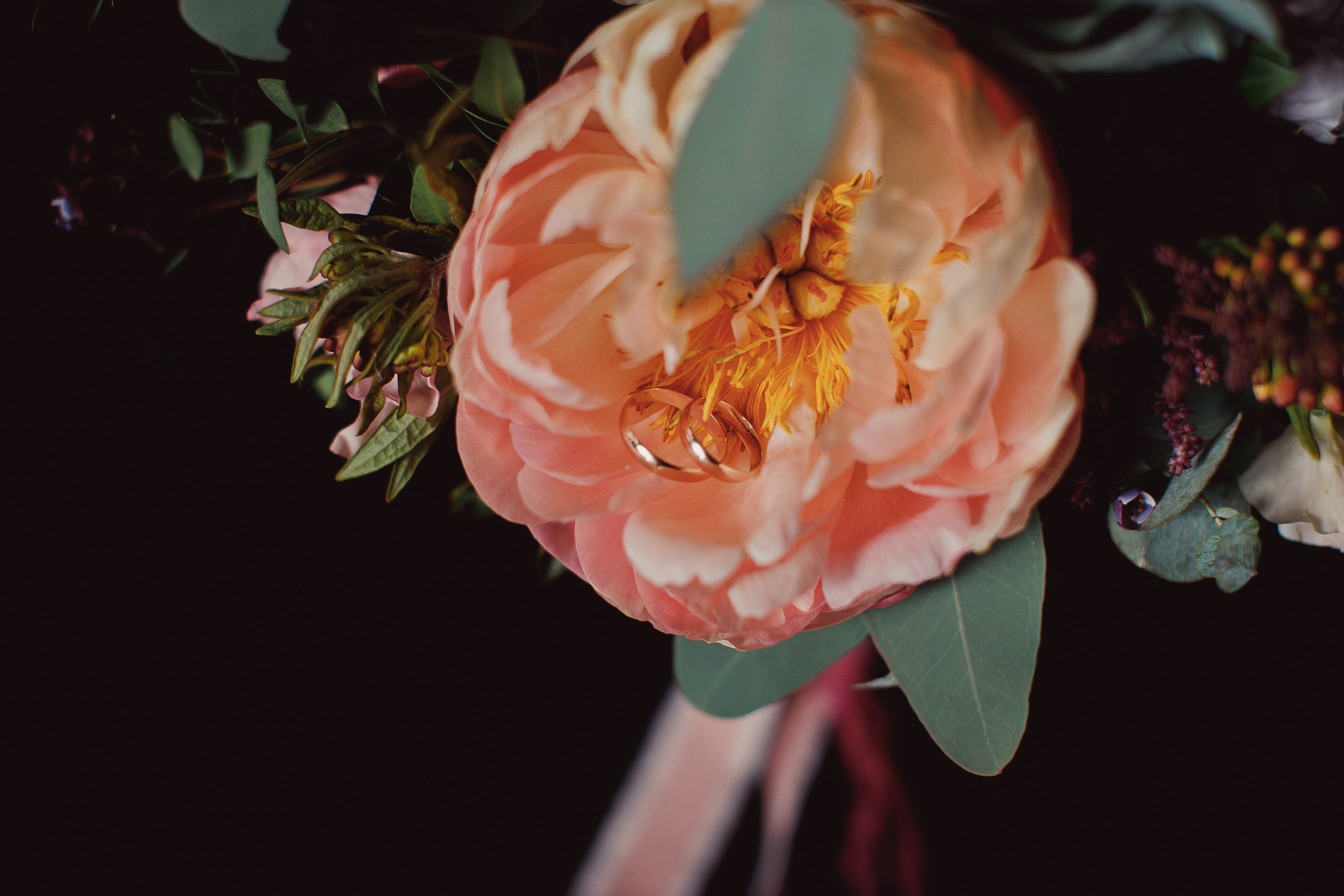 Екатерина и Никита. Свадебный и семейный фотограф Ольга Сморжанюк