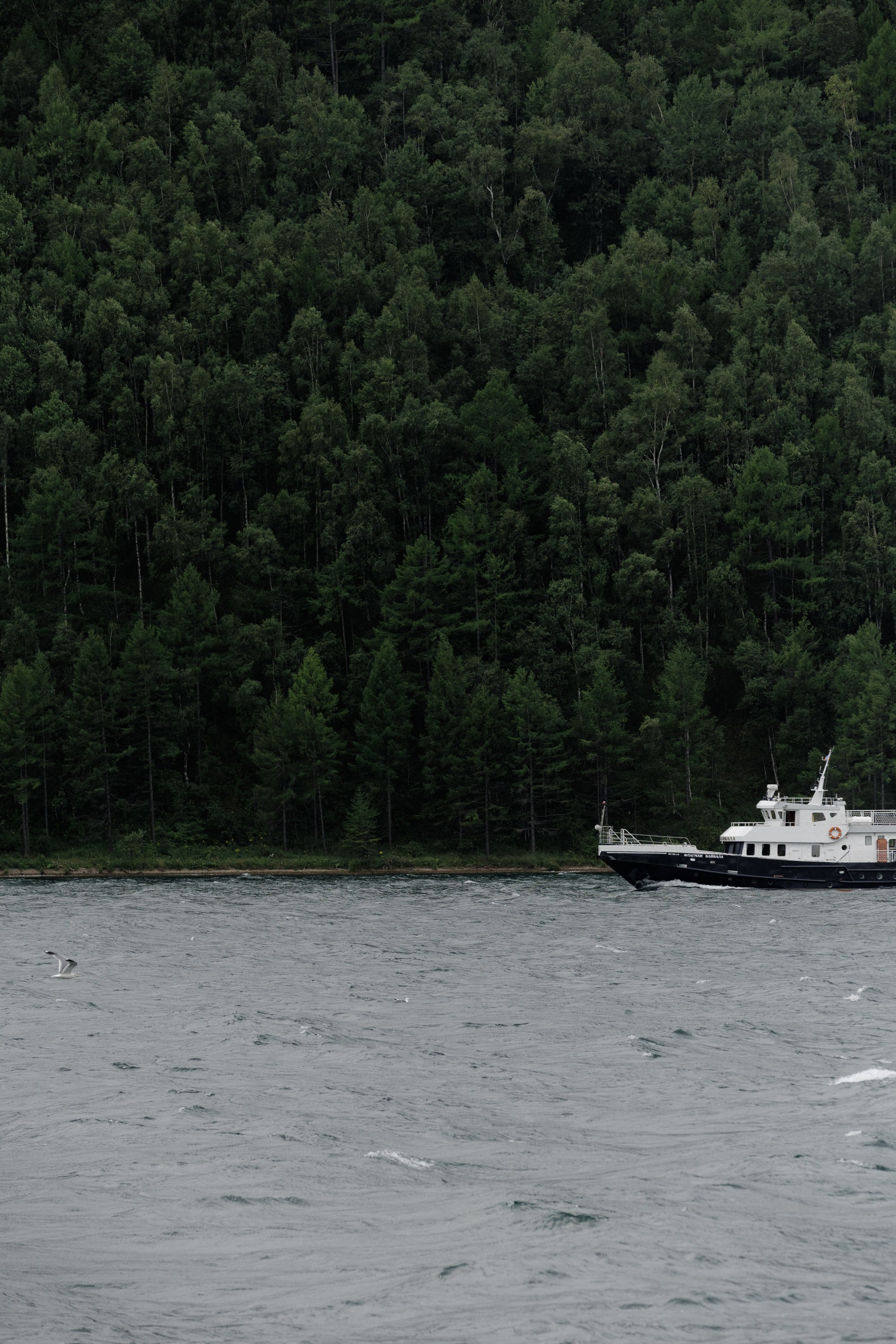 Леонид и Милена. Свадебный фотограф