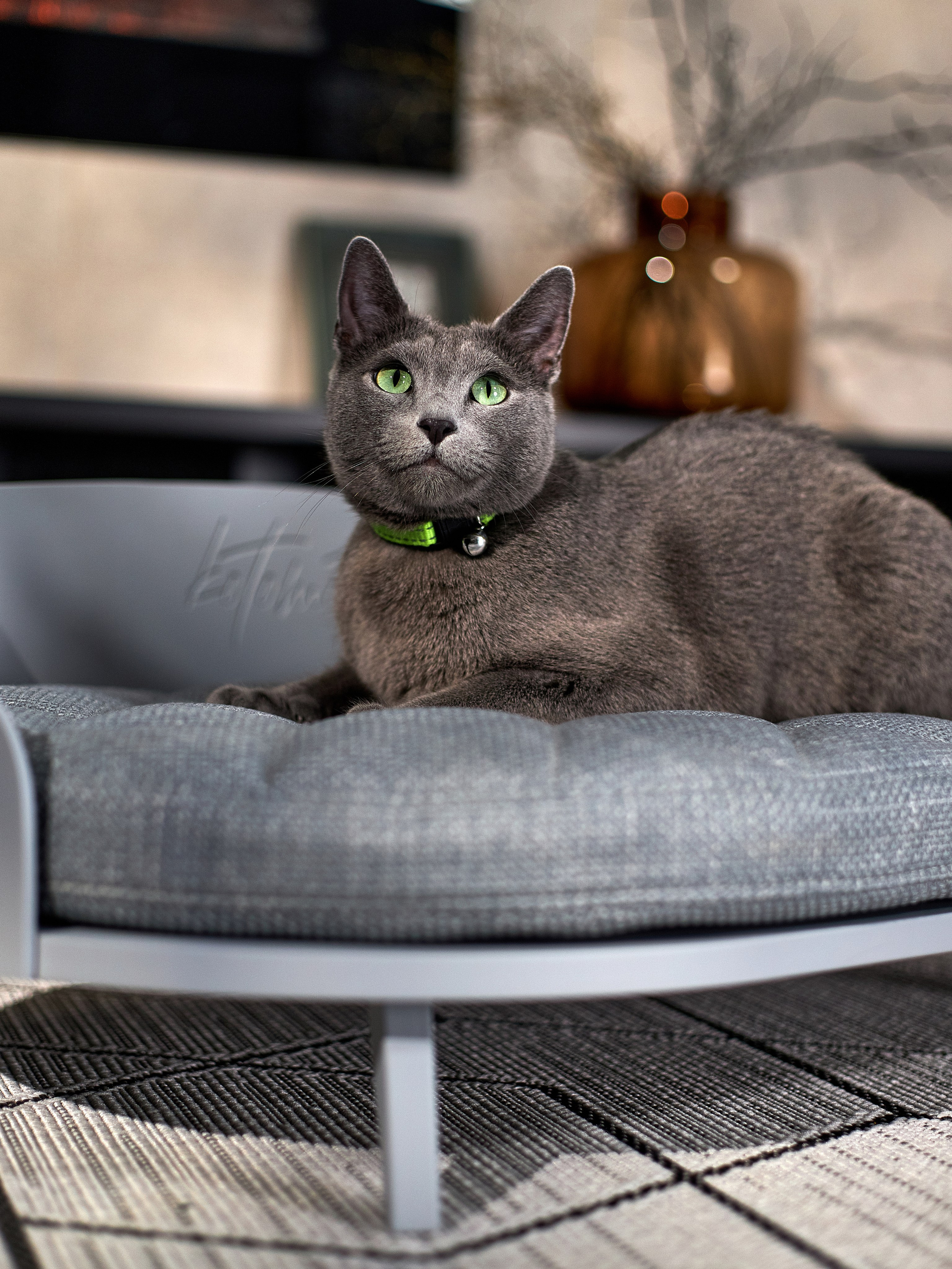 KOTOMOTO. Главная