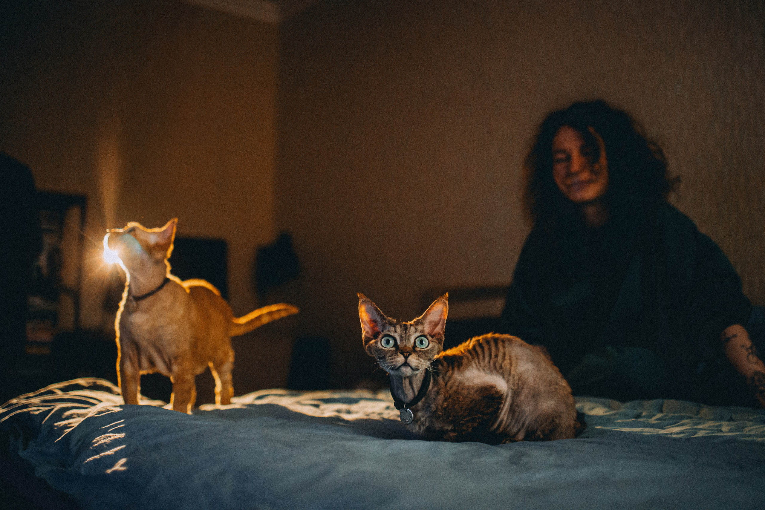 Гречка, Ковш и их семья