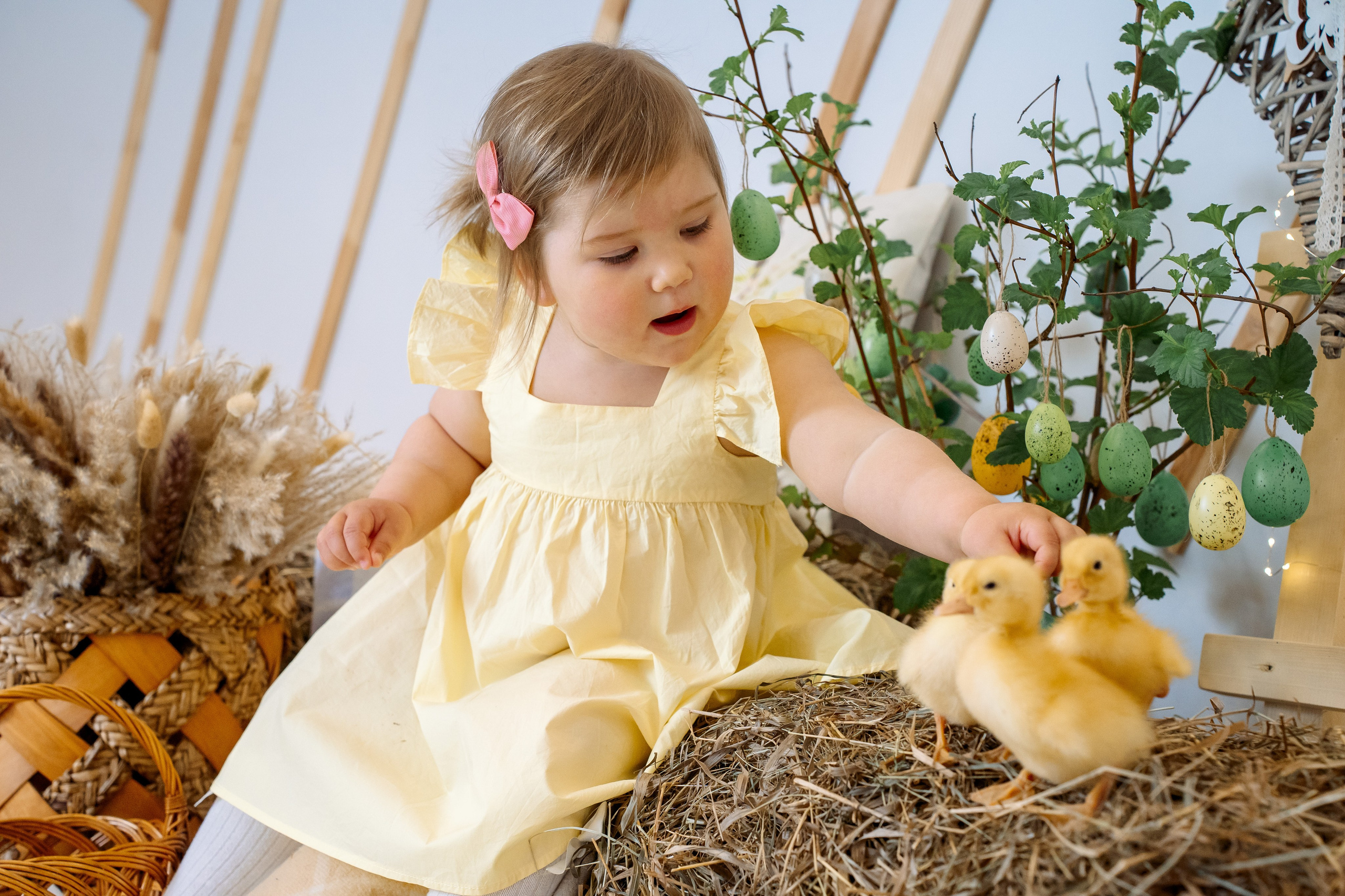 Утята. Фотограф Казакова Анастасия