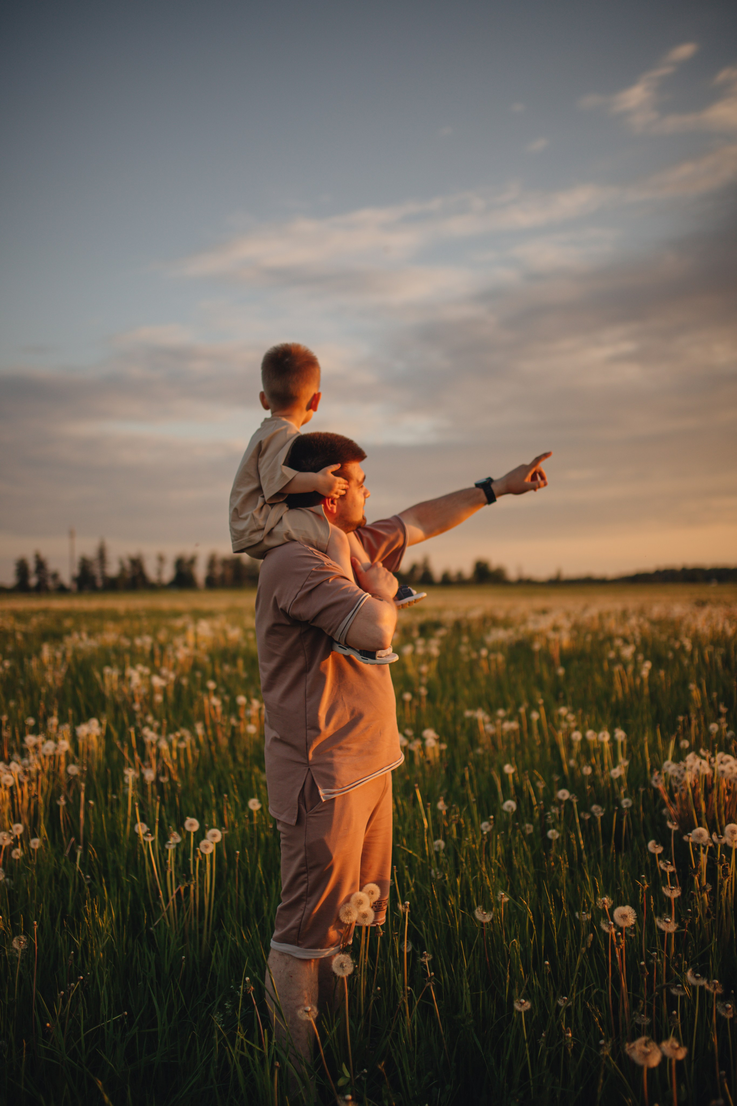 В поле на закате. Фотограф Винокурова Кристина в Санкт-Петербурге