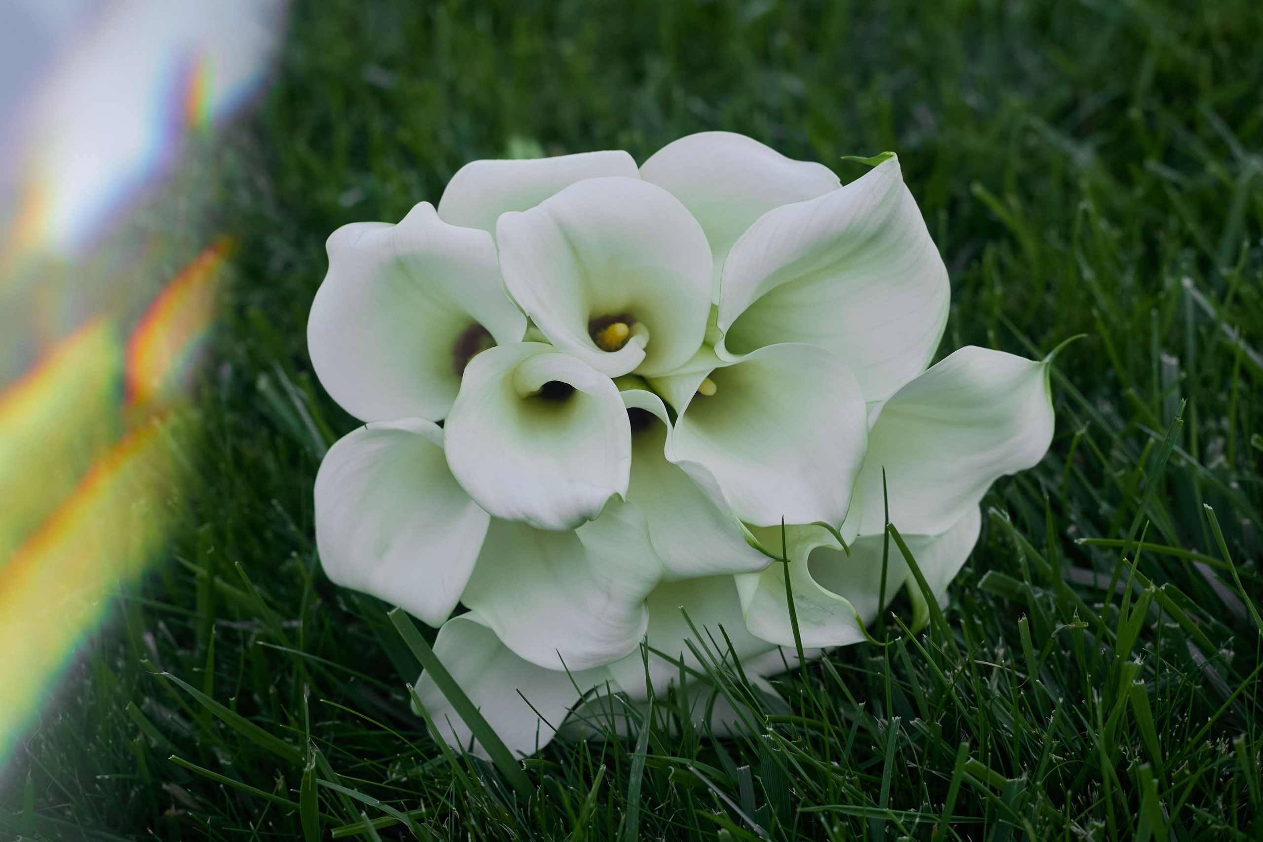 Андрей и Вика. Свадебный и креативный фотограф в ЮФО и МСК