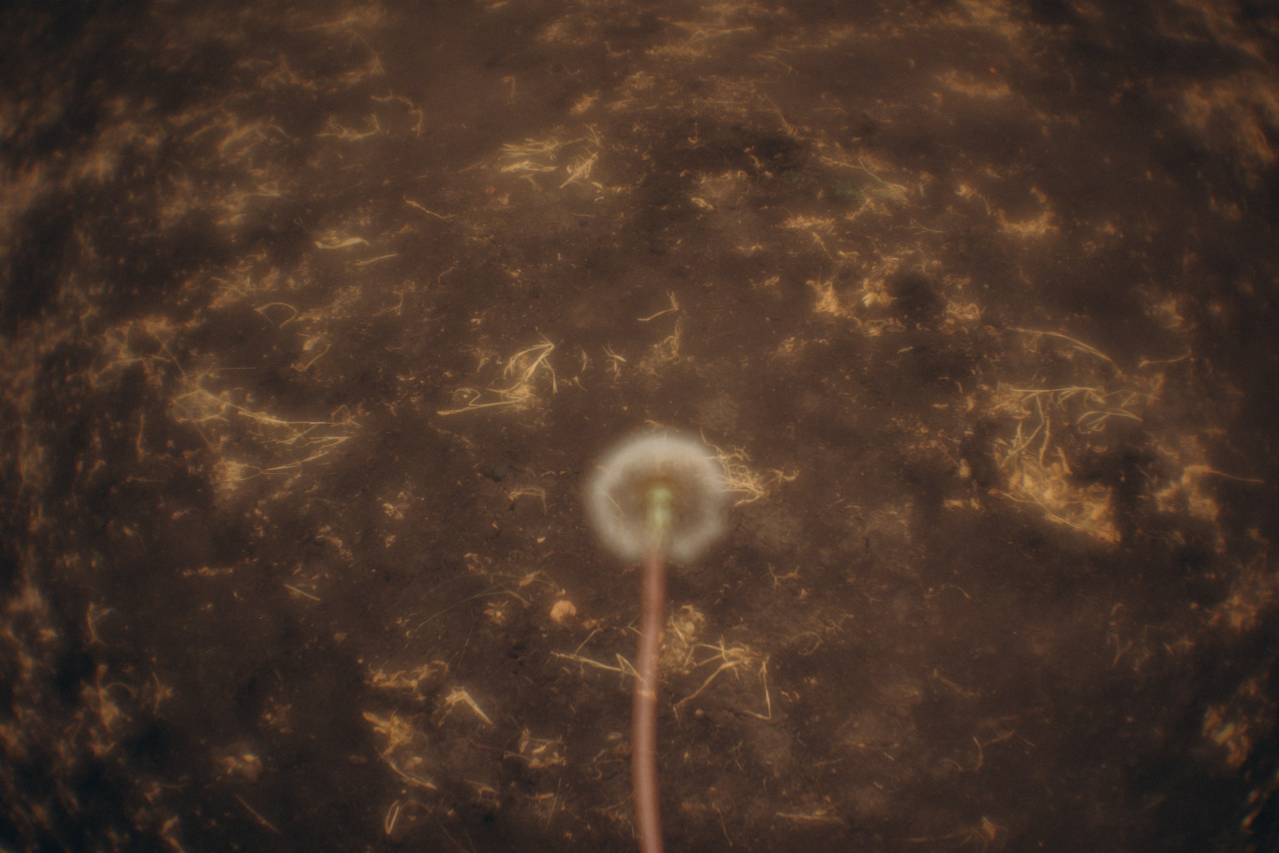 Пикториальный альбом. Семейный LIFESTYLE фотограф в Москве