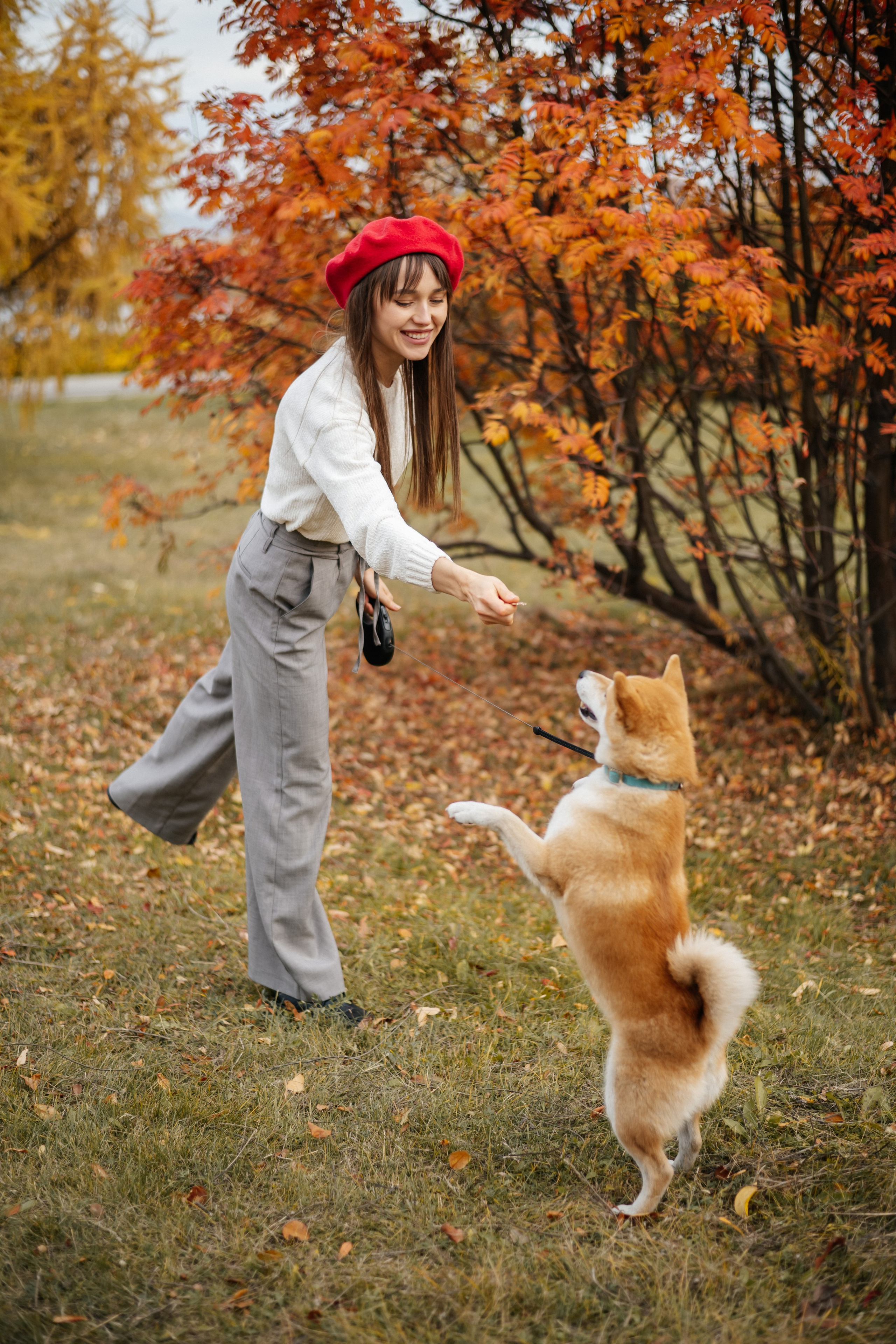 Алина и Бадди. Фотограф в Красноярске