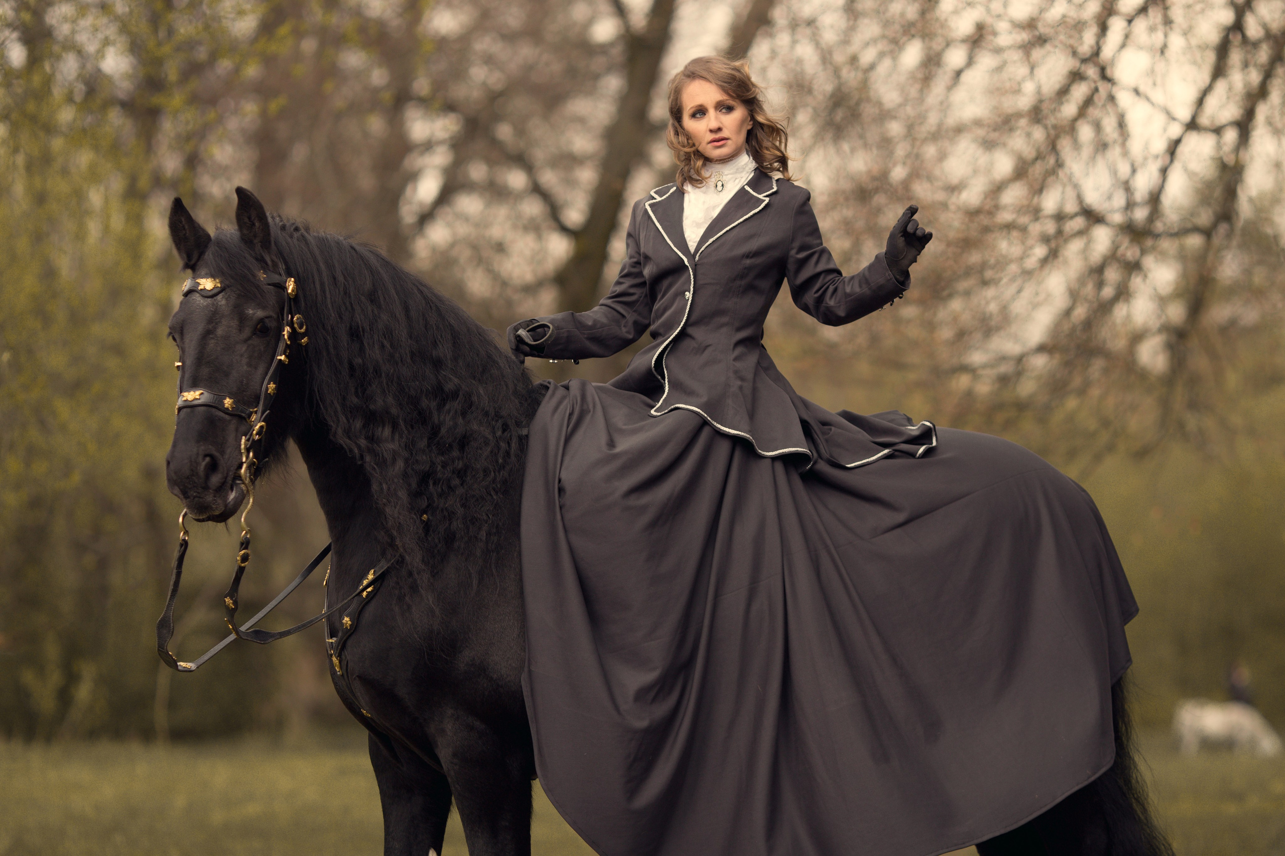 Фотосессия с черной лошадью
