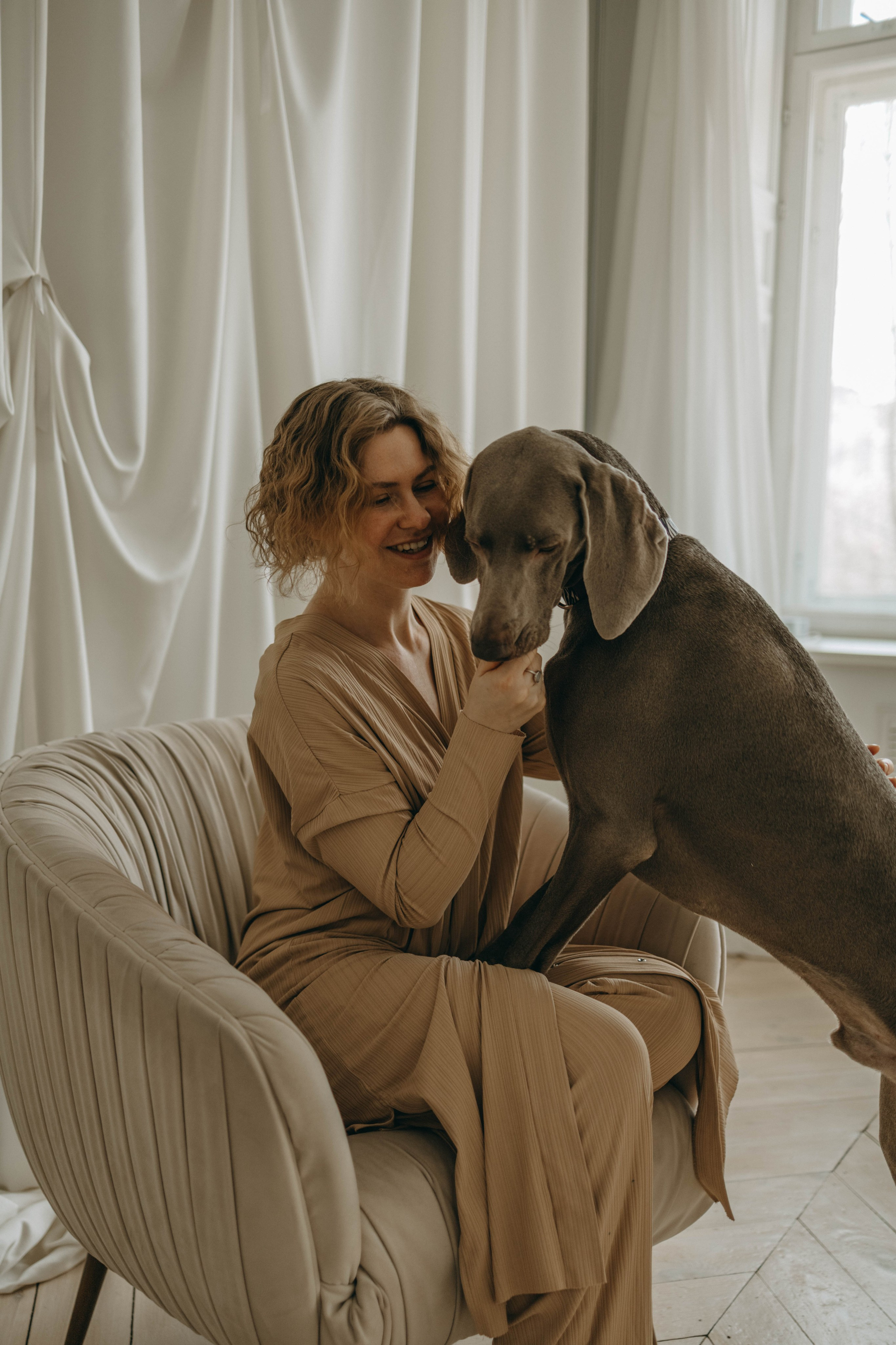 Фотосессия в студии с собакой. Фотограф-анималист в Екатеринбурге | Кристина