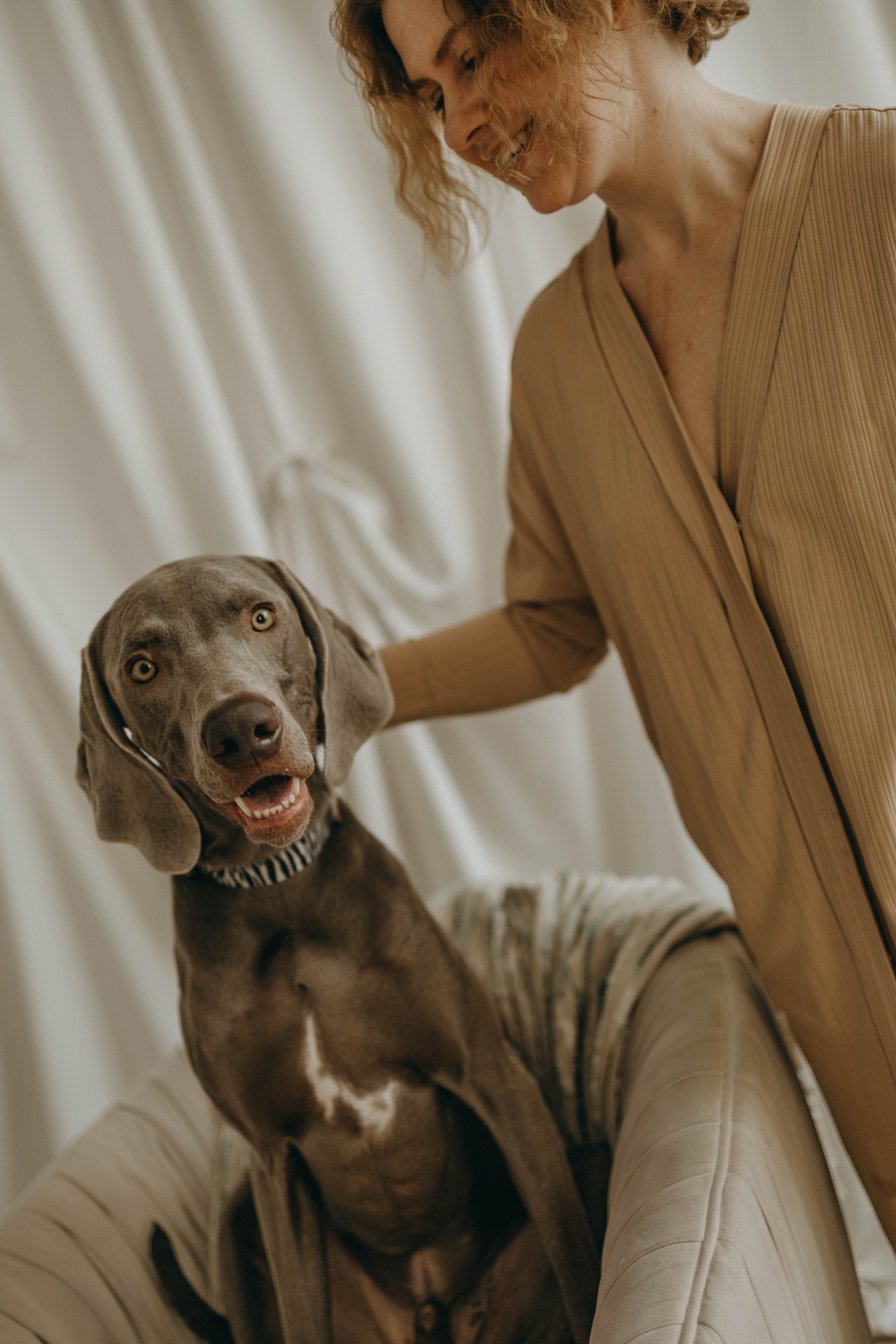 Фотосессия в студии с собакой. Фотограф-анималист в Екатеринбурге | Кристина