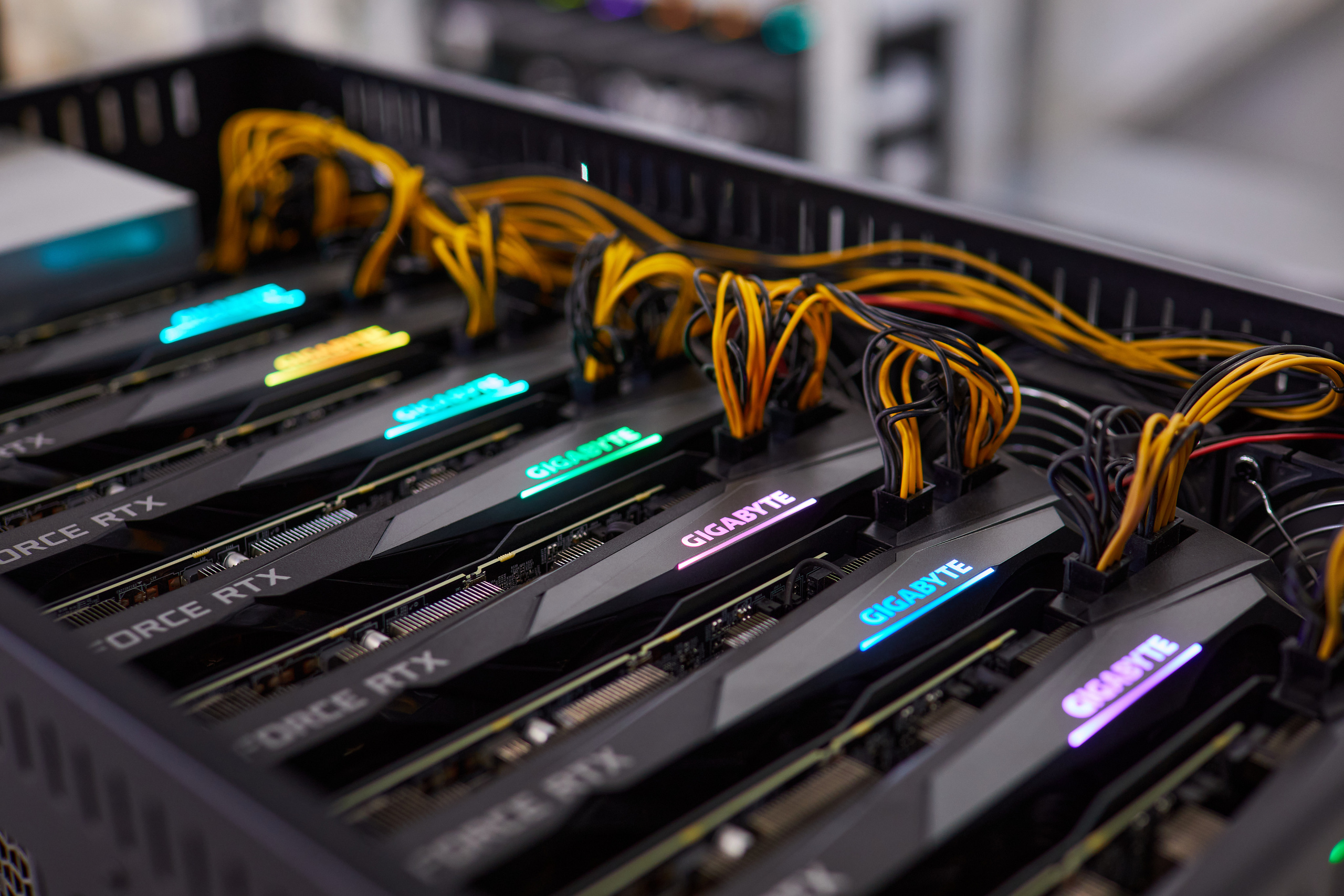 Subject photo. Фотограф Дмитрий Смелов