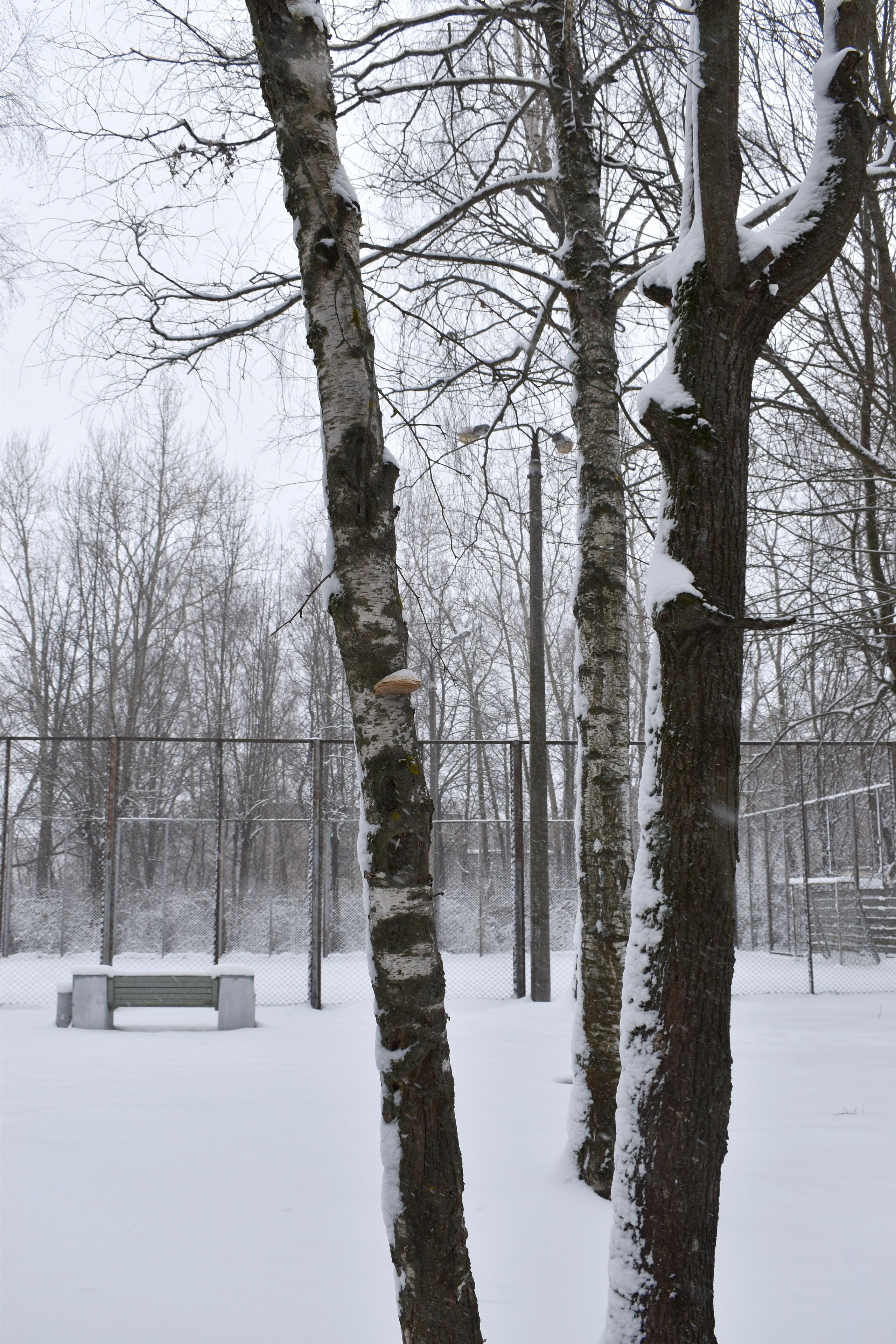 Надежда Пророкова «Добрый садовник». Private image