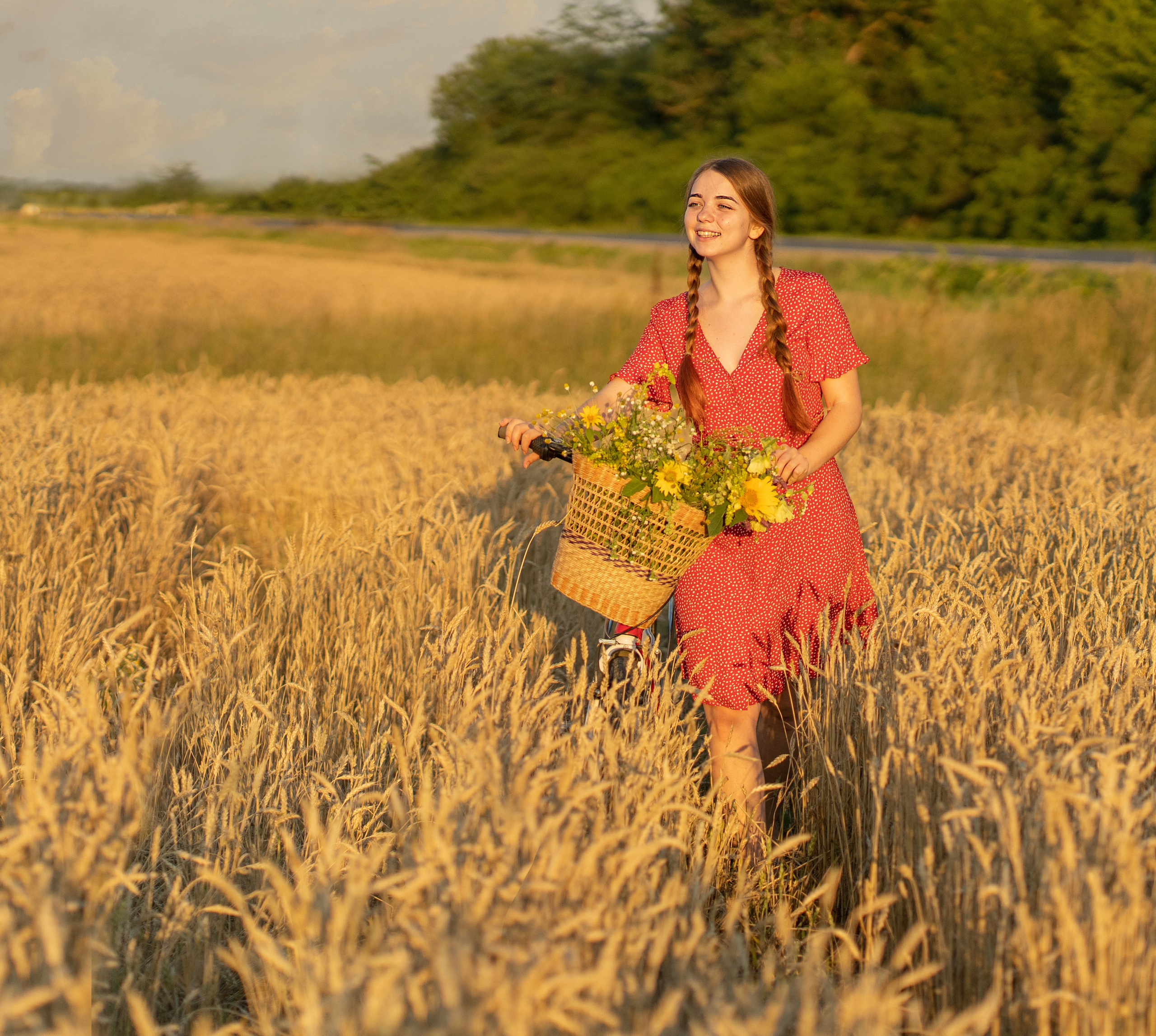 Закат в пшеничном поле. Виктория. Лариса Коновалова — портретный фотограф (Майкоп, Краснодар)