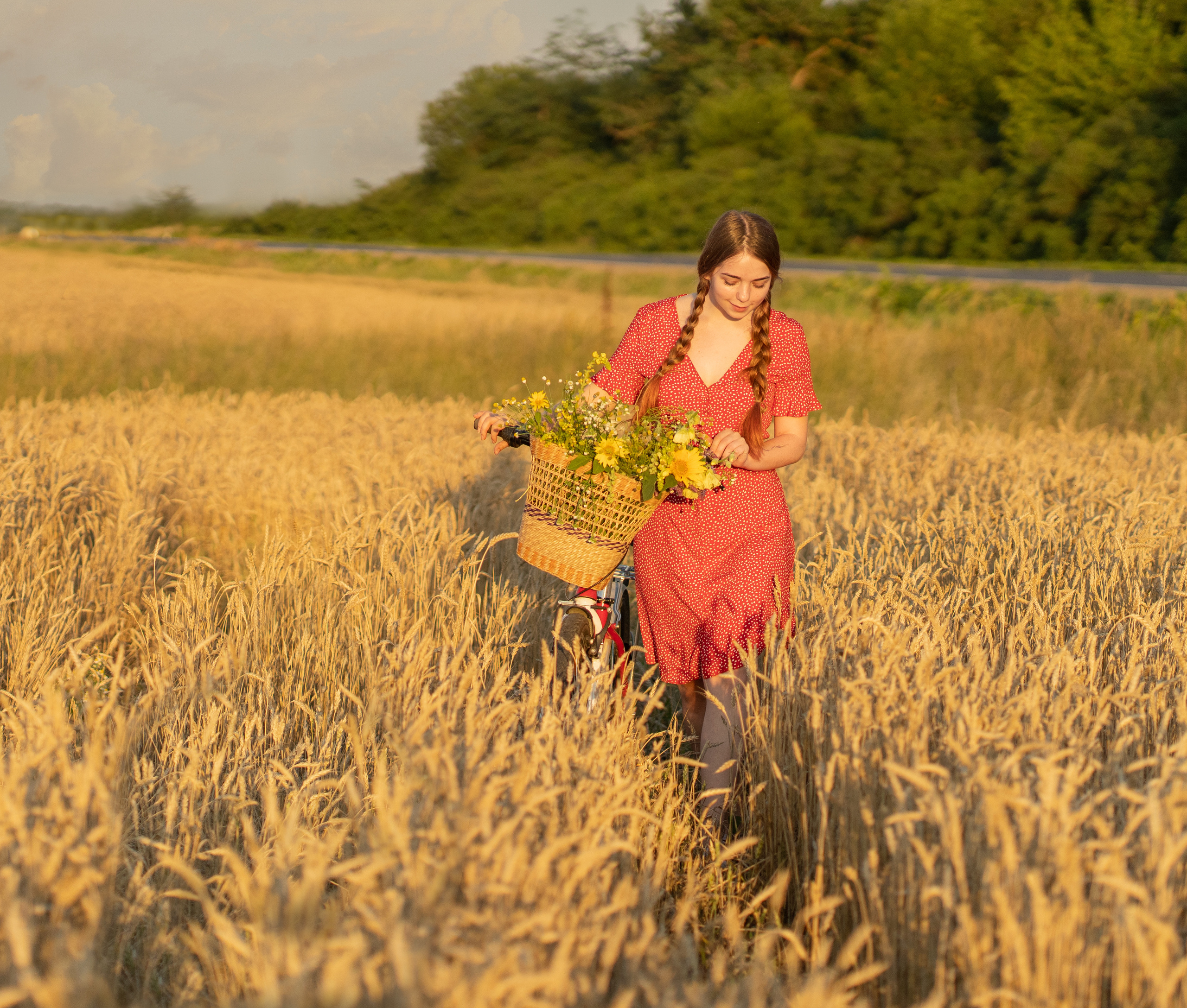Закат в пшеничном поле. Виктория. Лариса Коновалова — портретный фотограф (Майкоп, Краснодар)
