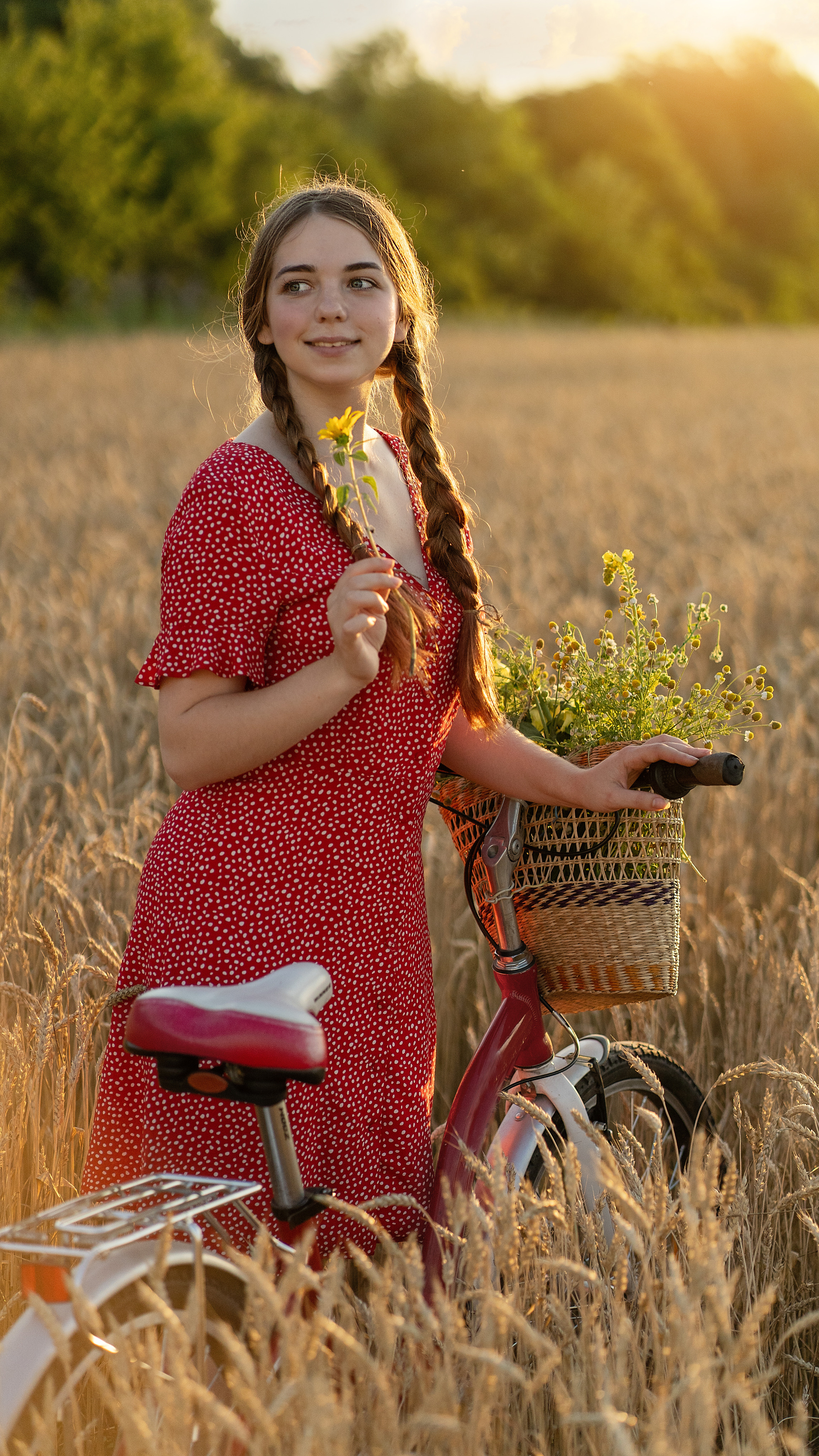 Закат в пшеничном поле. Виктория. Лариса Коновалова — портретный фотограф (Майкоп, Краснодар)