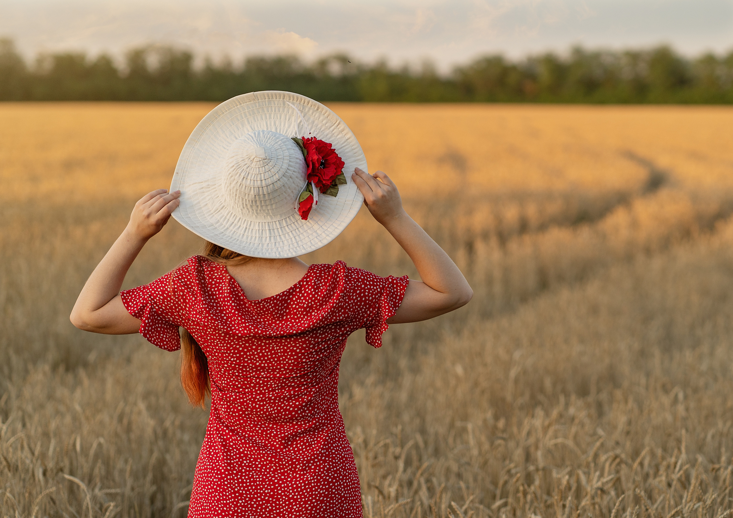 Закат в пшеничном поле. Виктория. Лариса Коновалова — портретный фотограф (Майкоп, Краснодар)