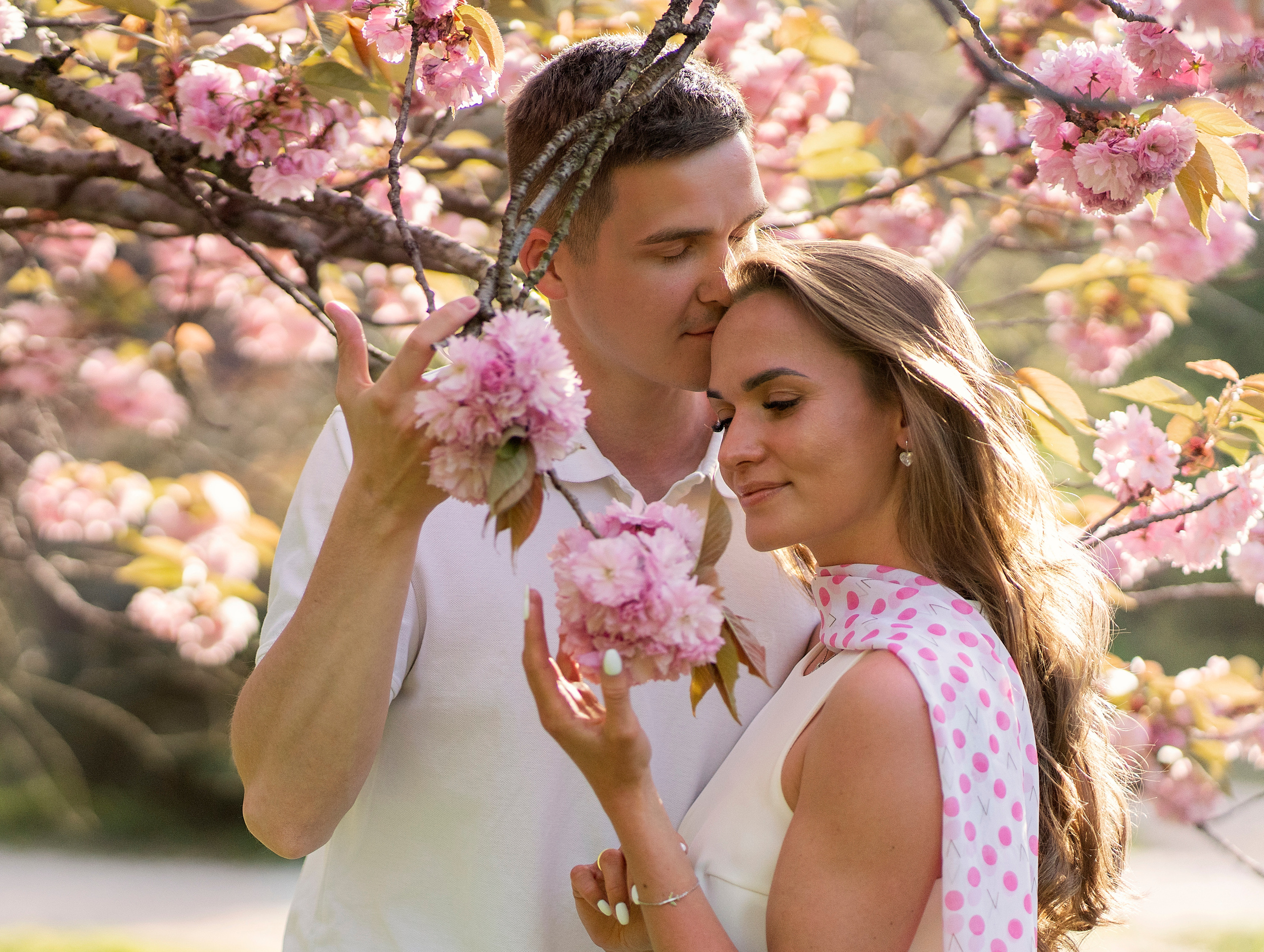Влюбленные нюхают цветы сакуры. На девушке розовый шарф под цвет цветов сакуры.