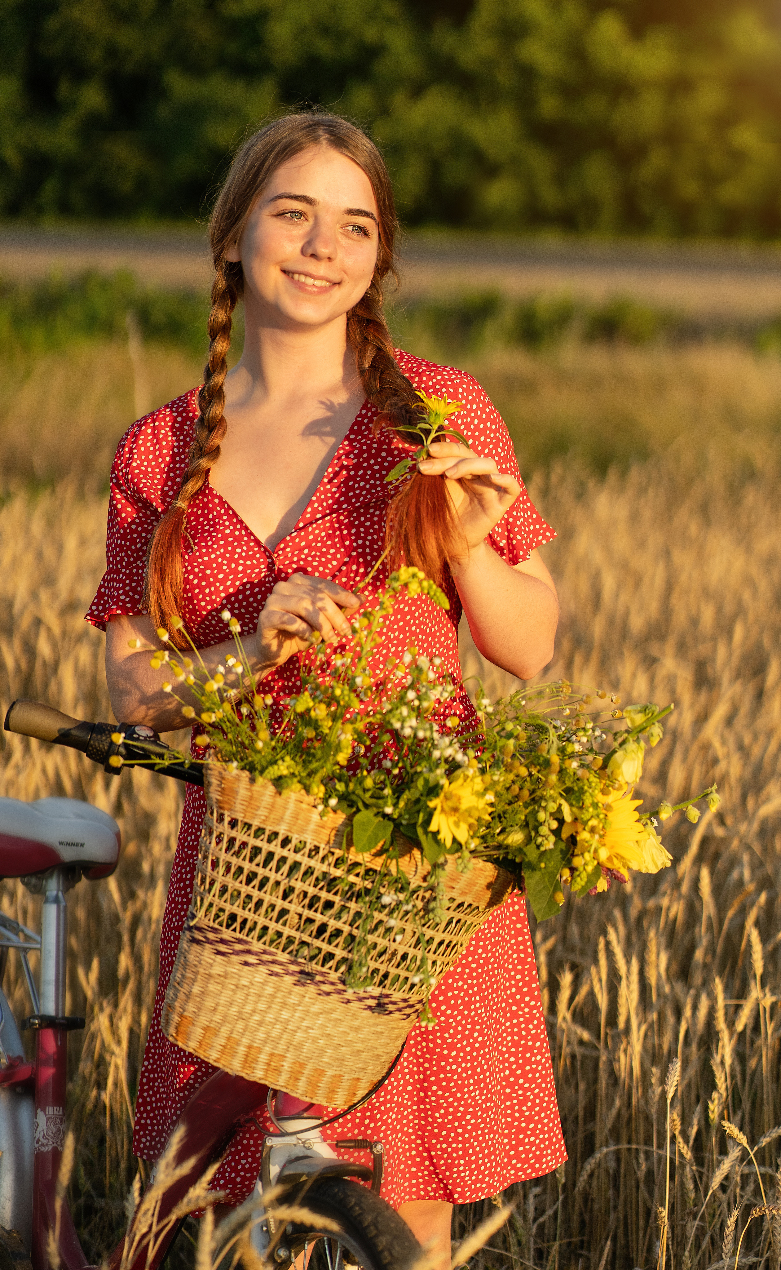 Закат в пшеничном поле. Виктория. Лариса Коновалова — портретный фотограф (Майкоп, Краснодар)