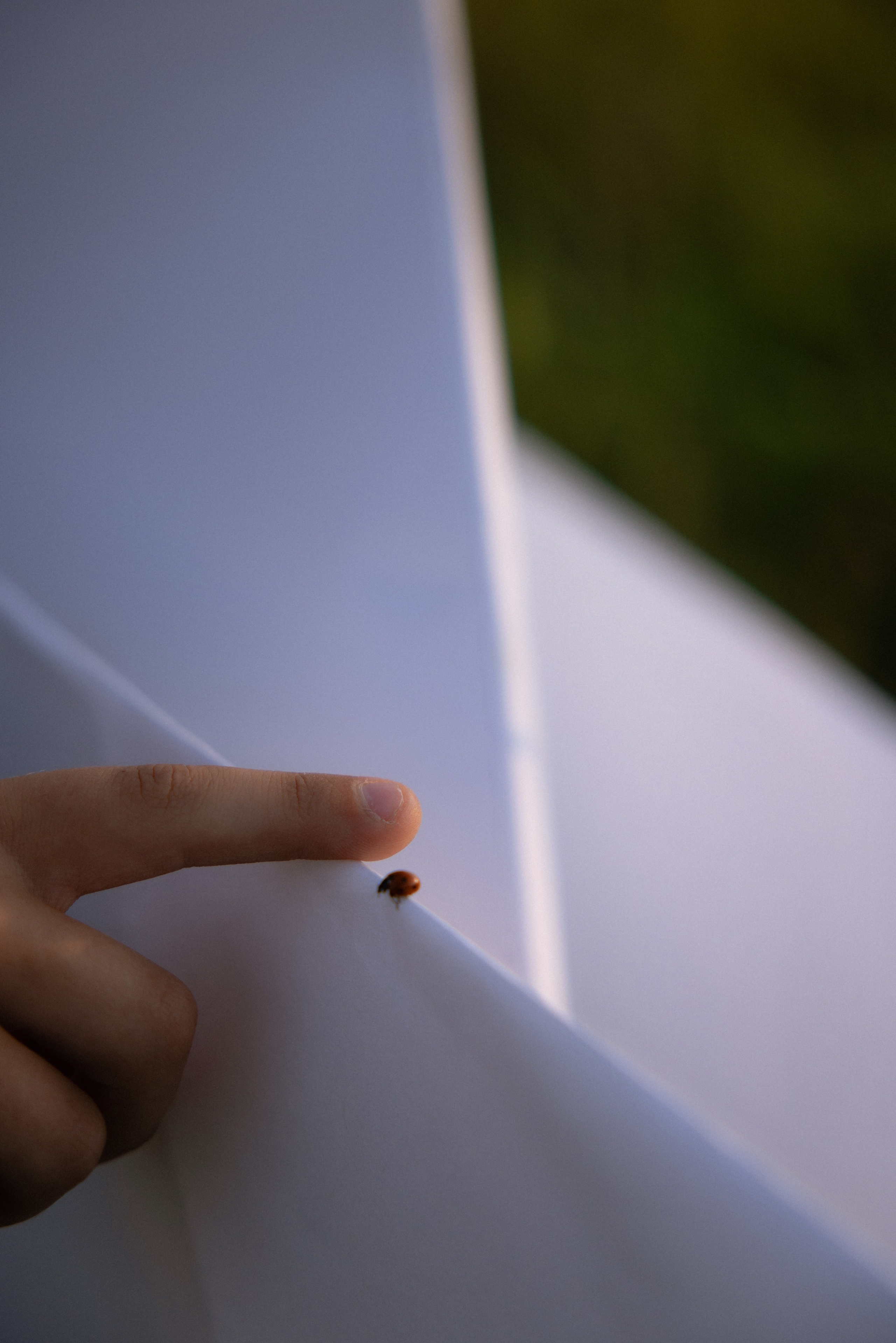 Два брата. Семейный фотограф Губкин/Старый Оскол