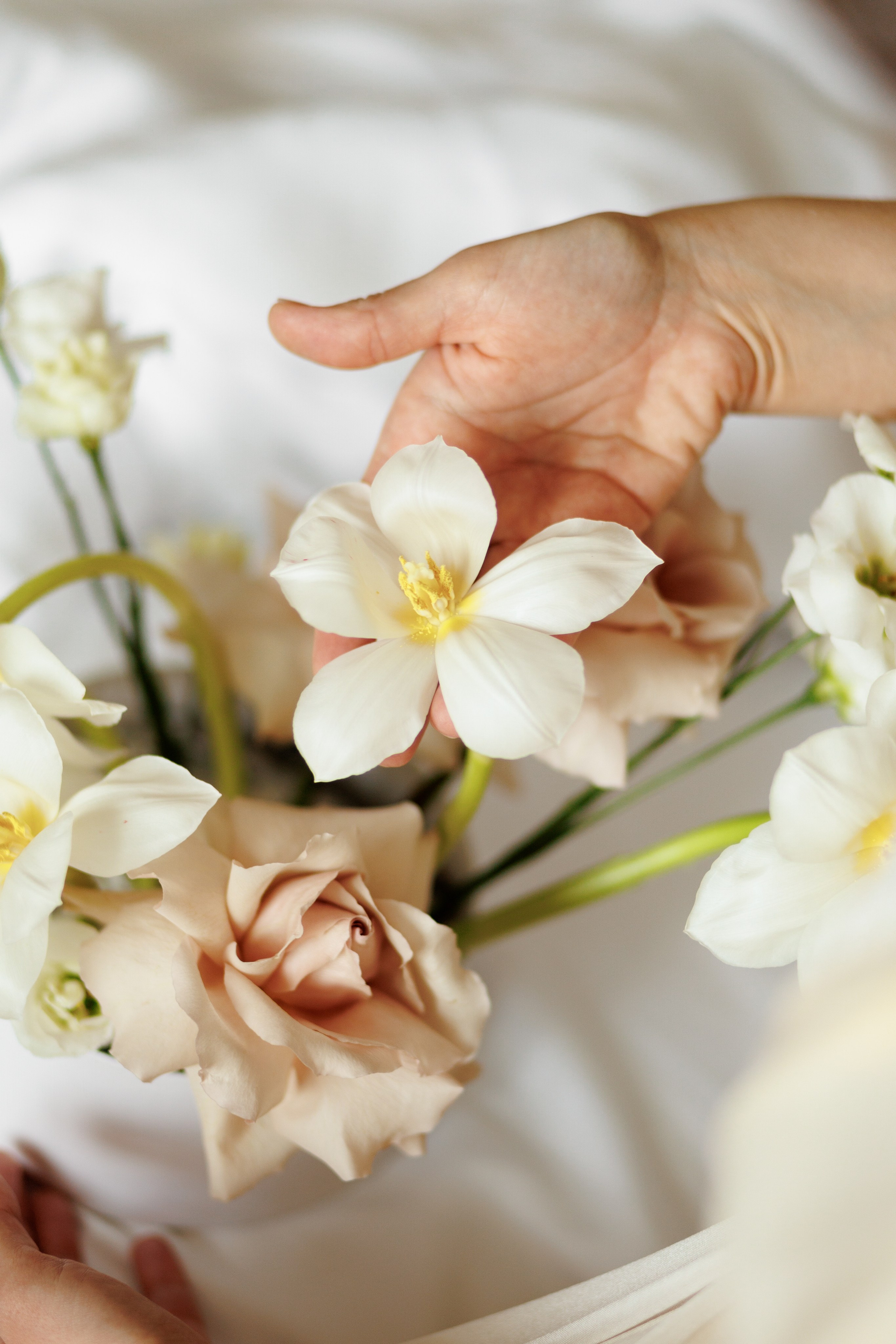 Екатерина и Александр. Щетинина Наталья свадебный фотограф Барнаул