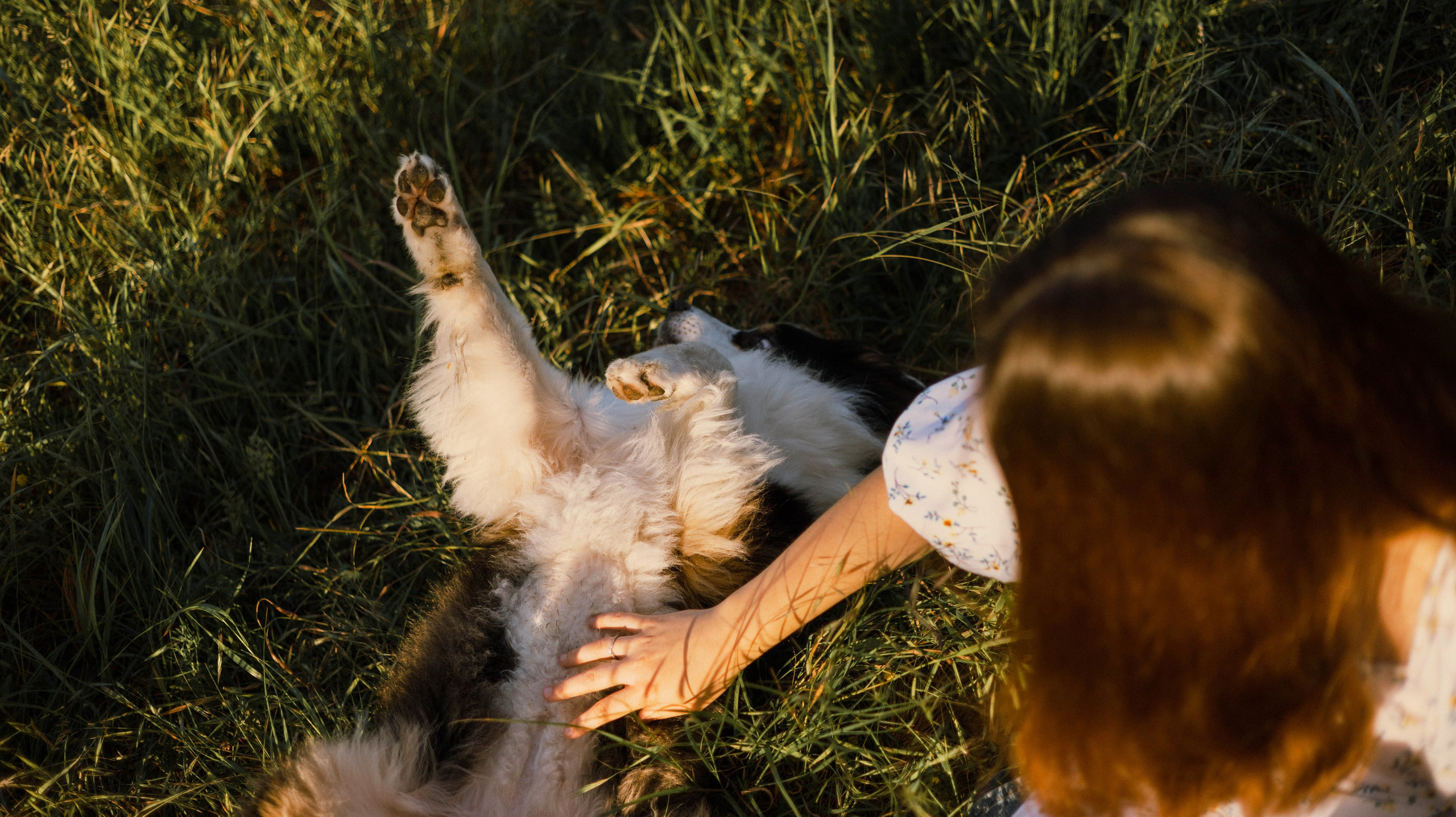 Ира и Джесс. Фотограф-анималист Богданова Полина