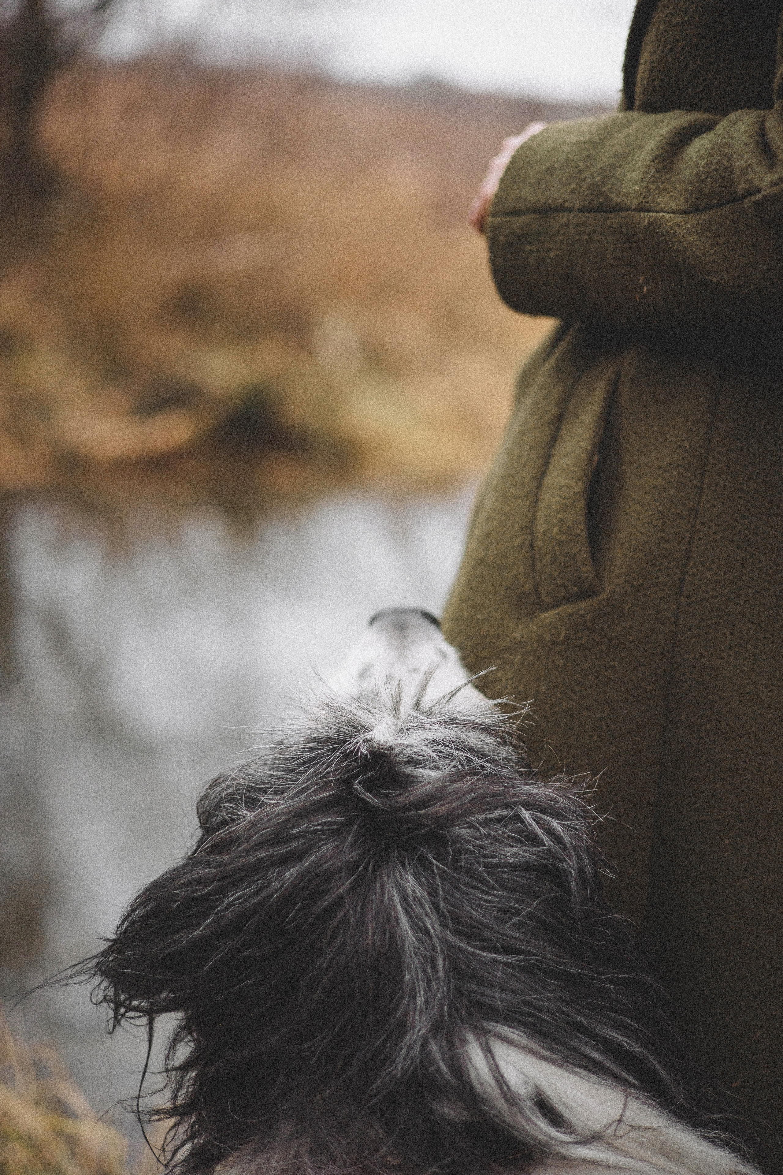 Даша, Глеб, Барс и Бруно. Фотограф-анималист Богданова Полина