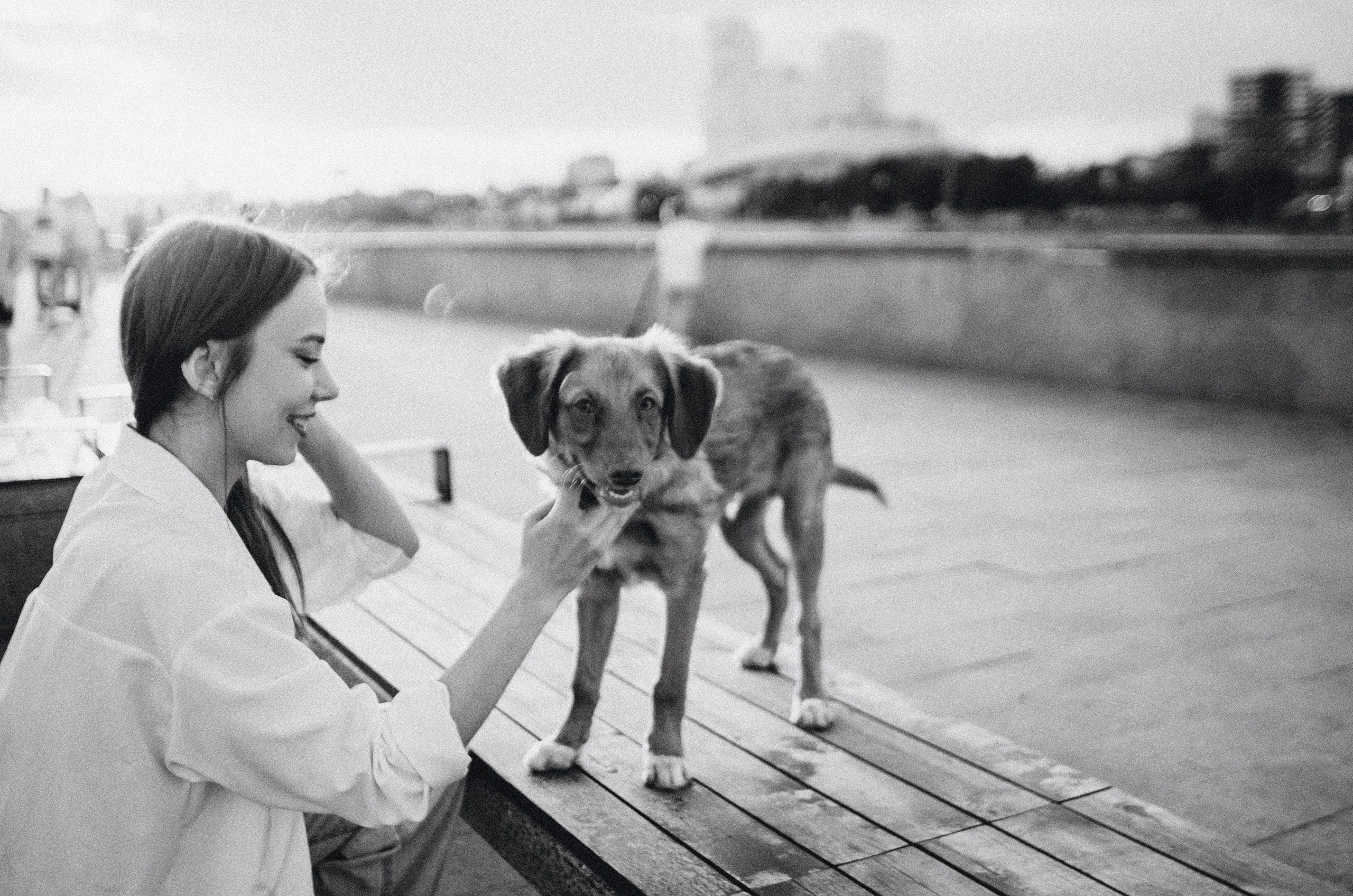 Вика и Хардин. Фотограф-анималист Богданова Полина