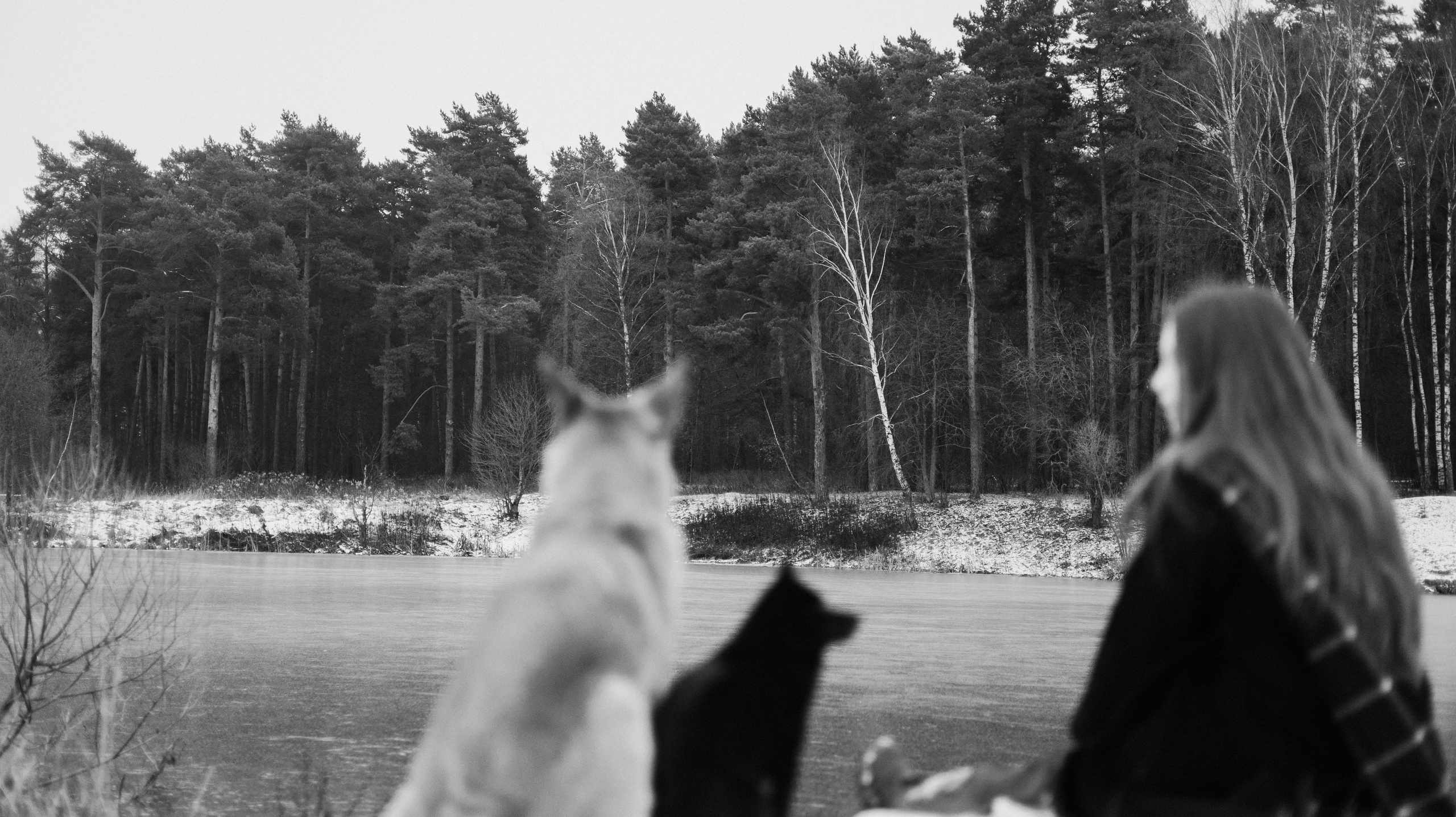 Юля, Лара и Йоми. Фотограф-анималист Богданова Полина
